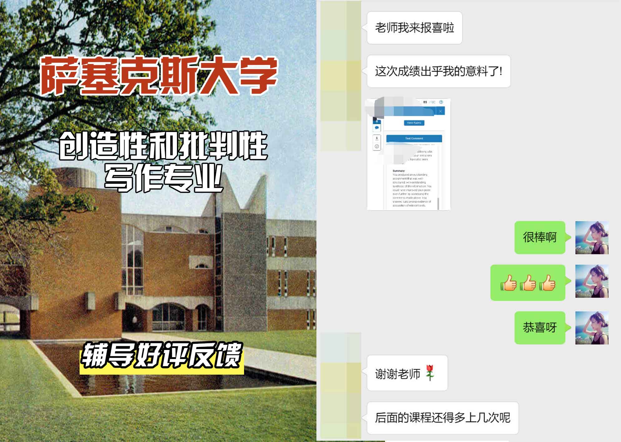 Sussex萨塞克斯大学创造性和批判性写作辅导好评反馈