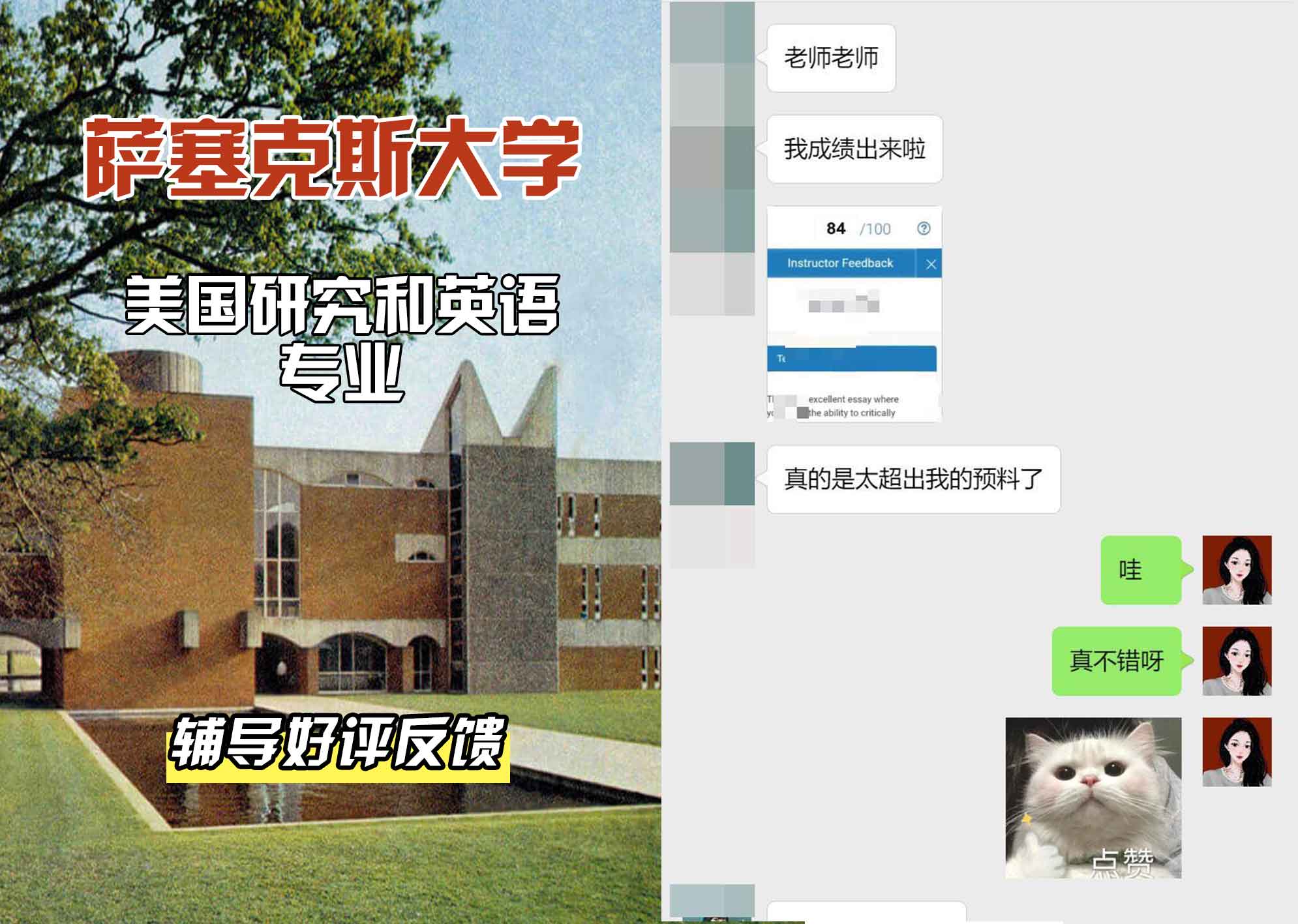 Sussex萨塞克斯大学美国研究和英语辅导好评反馈
