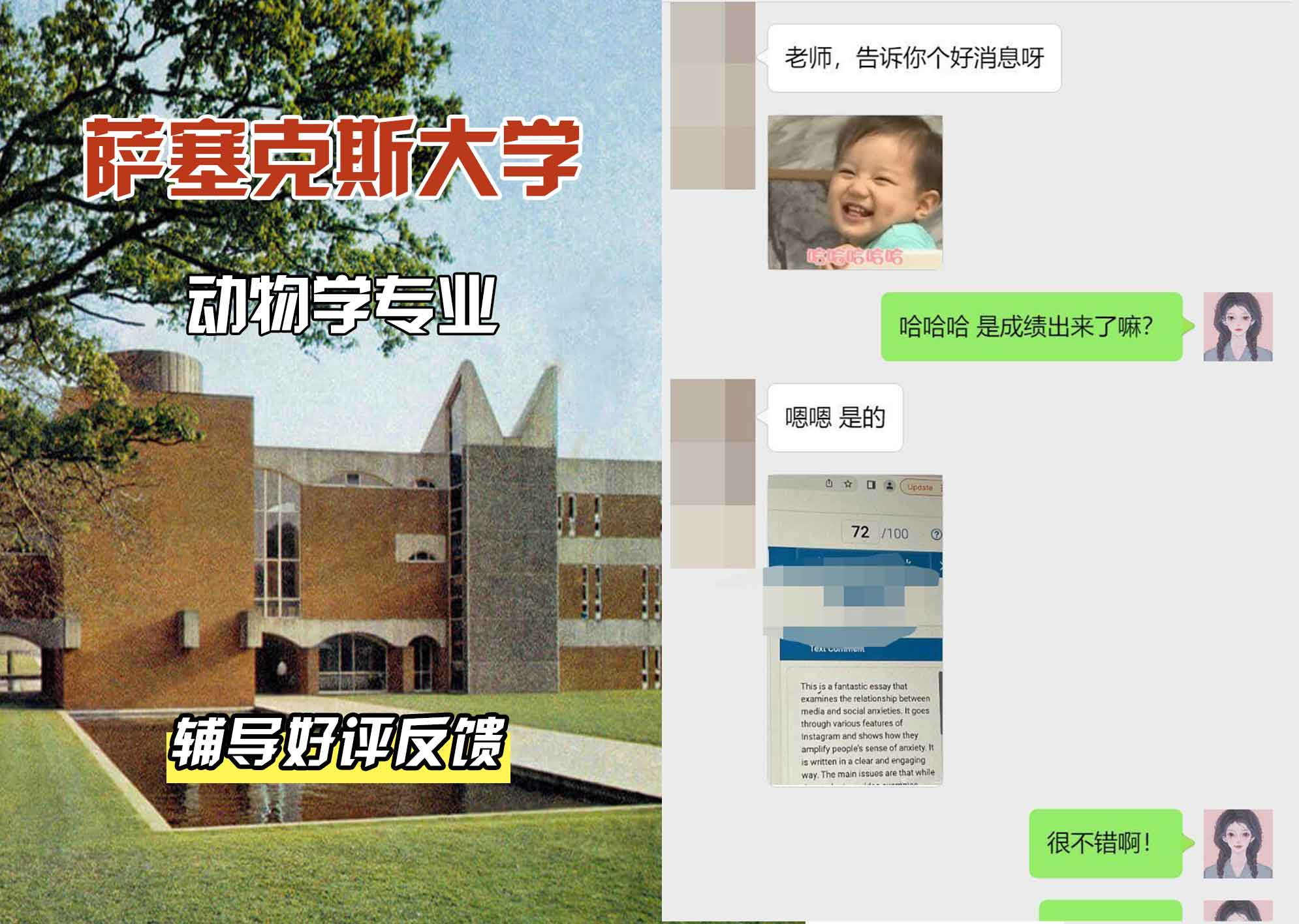 Sussex萨塞克斯大学动物学辅导好评反馈