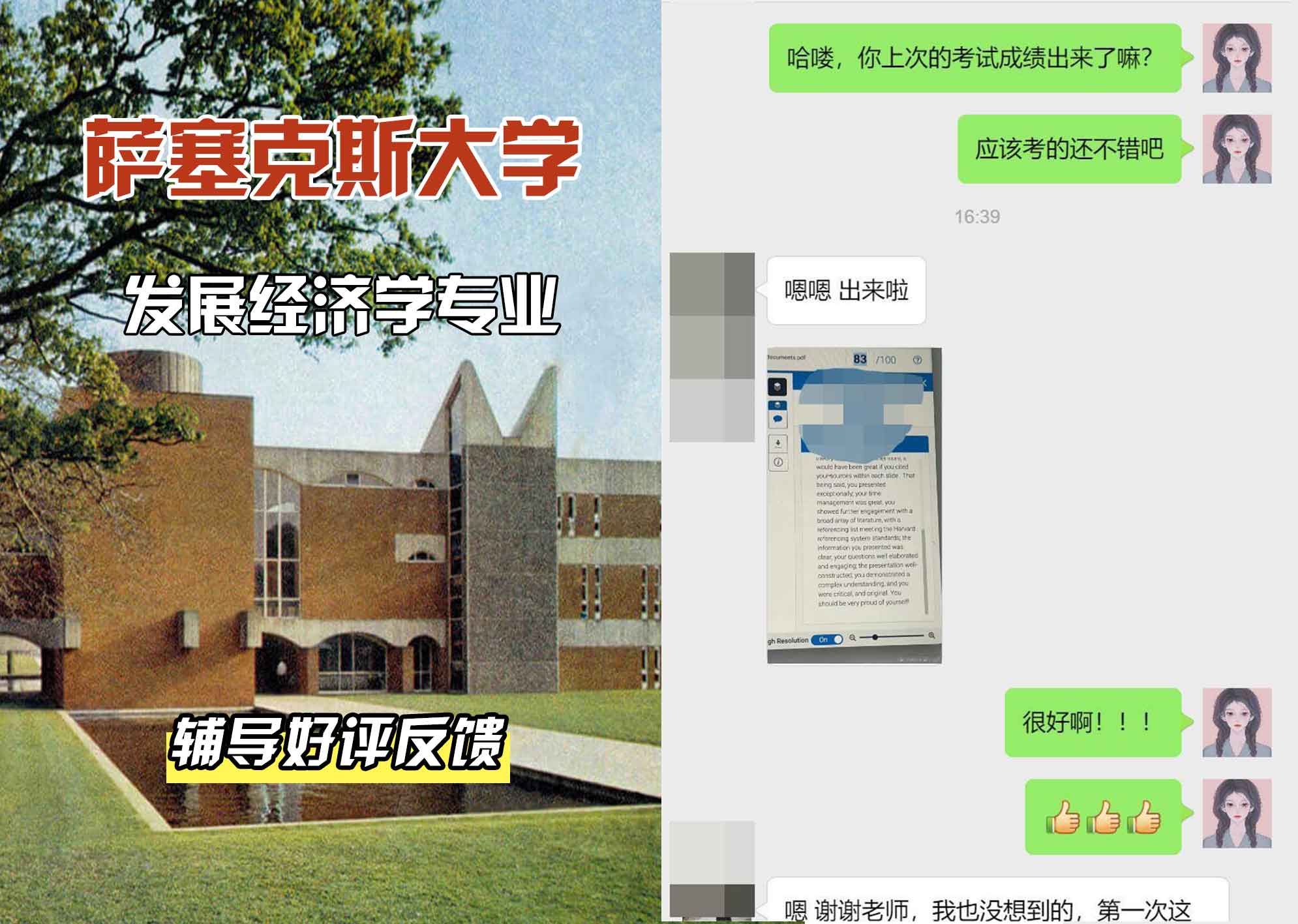 Sussex萨塞克斯大学发展经济学辅导好评反馈