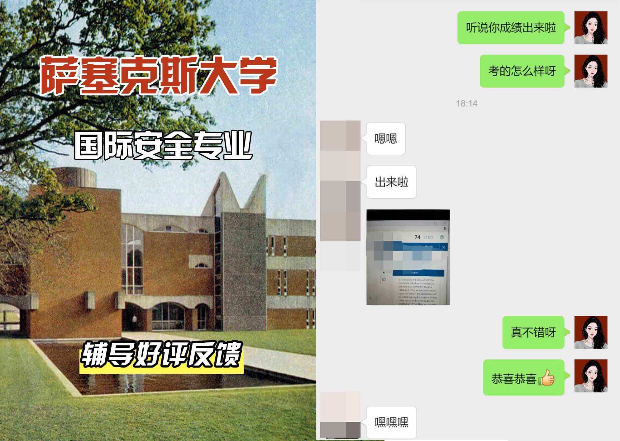 Sussex萨塞克斯大学国际安全辅导好评反馈