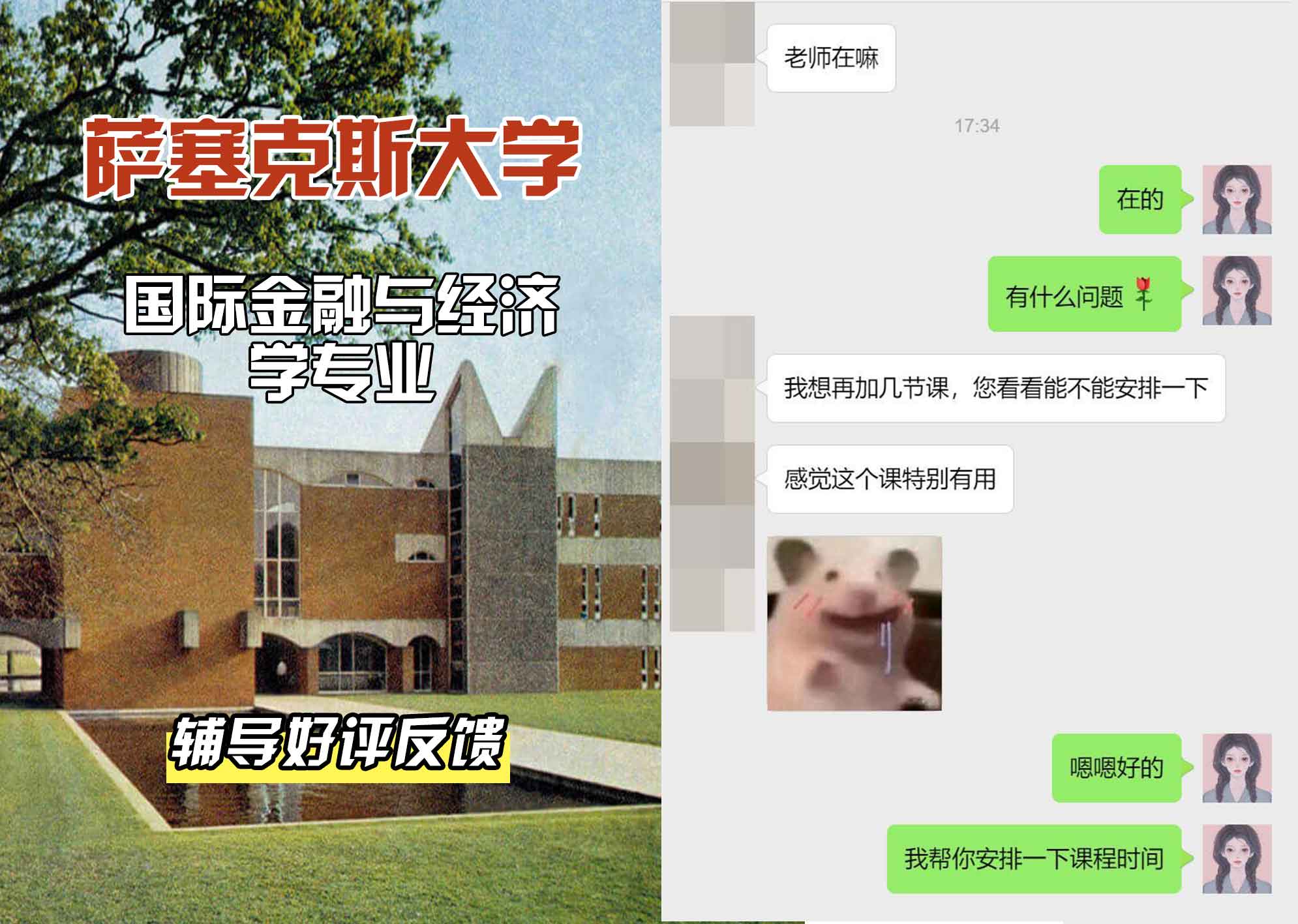 Sussex萨塞克斯大学国际金融与经济学辅导好评反馈