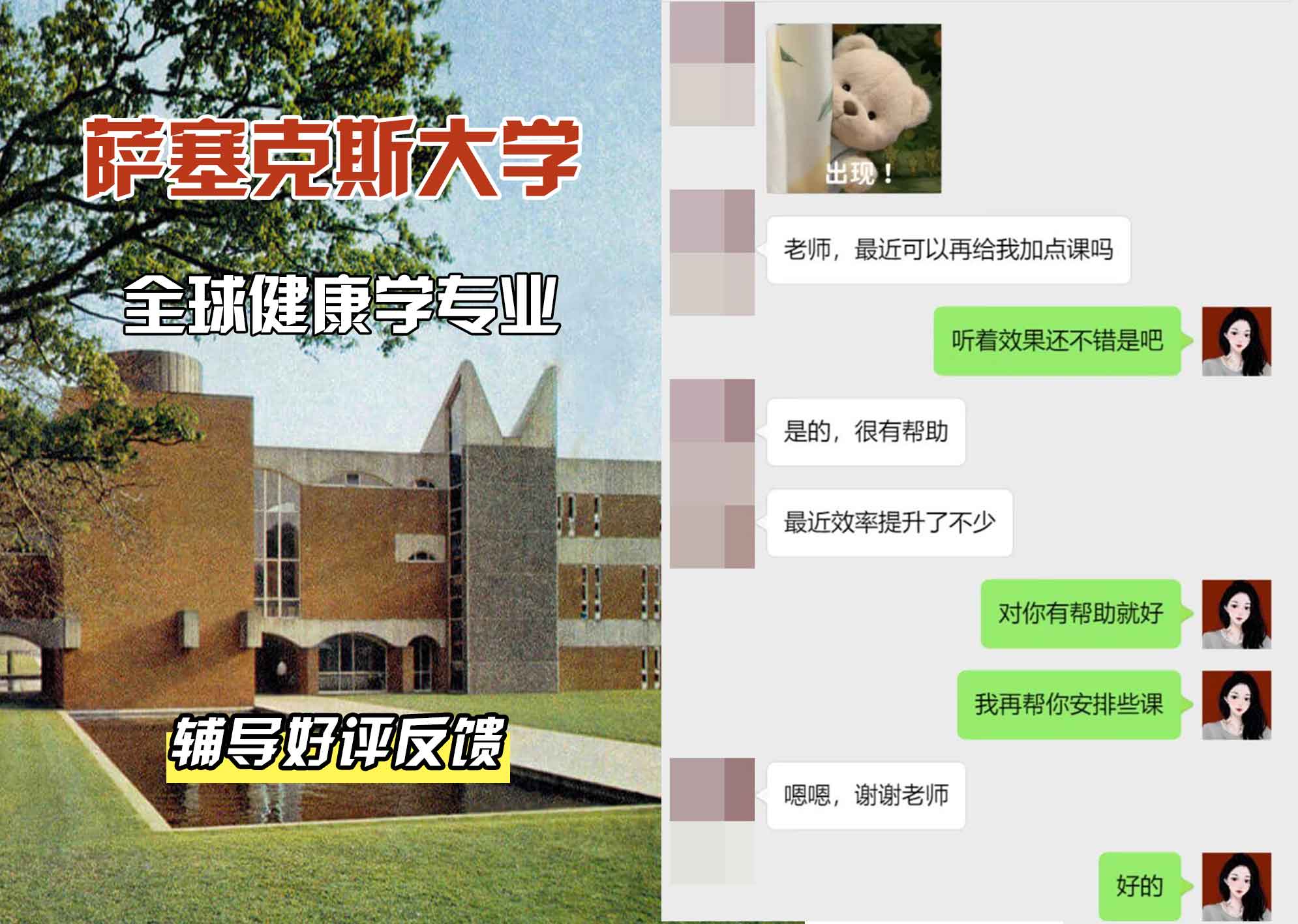 Sussex萨塞克斯大学全球健康学辅导好评反馈