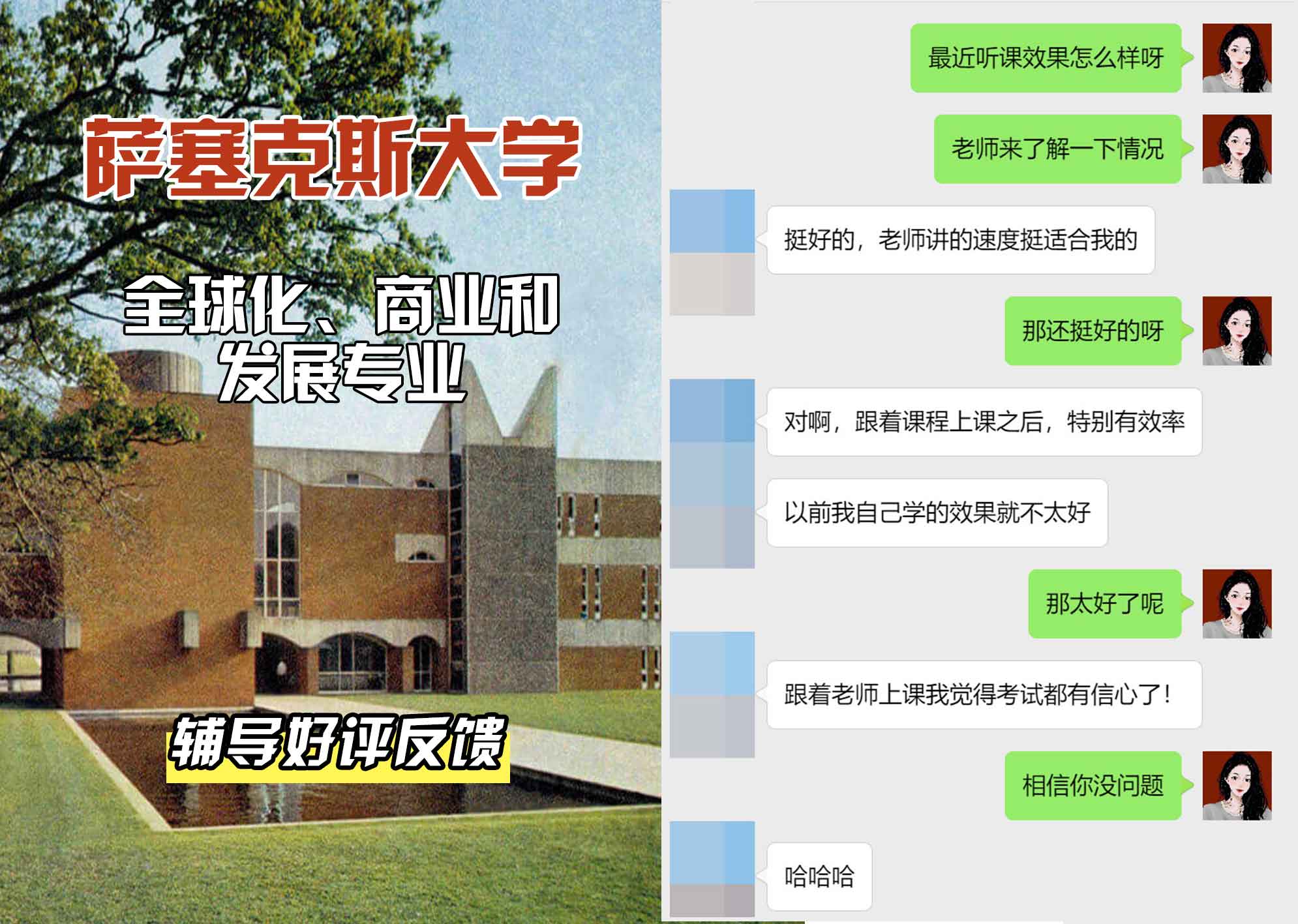 Sussex萨塞克斯大学全球化、商业和发展辅导好评反馈
