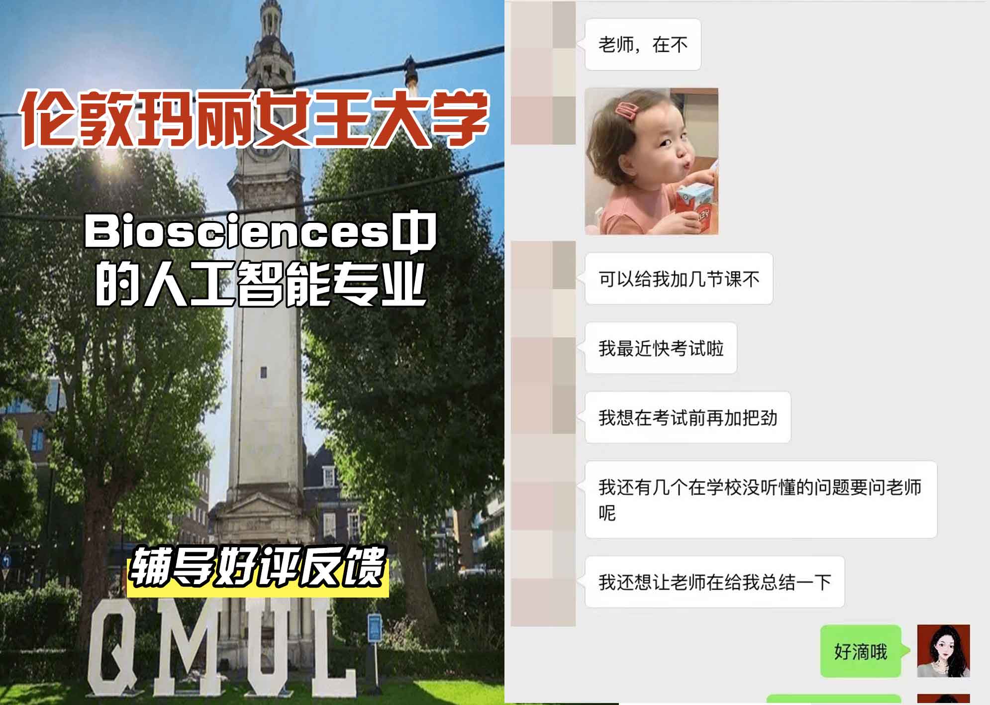 QM女王大学生物科学中的人工智能辅导好评反馈