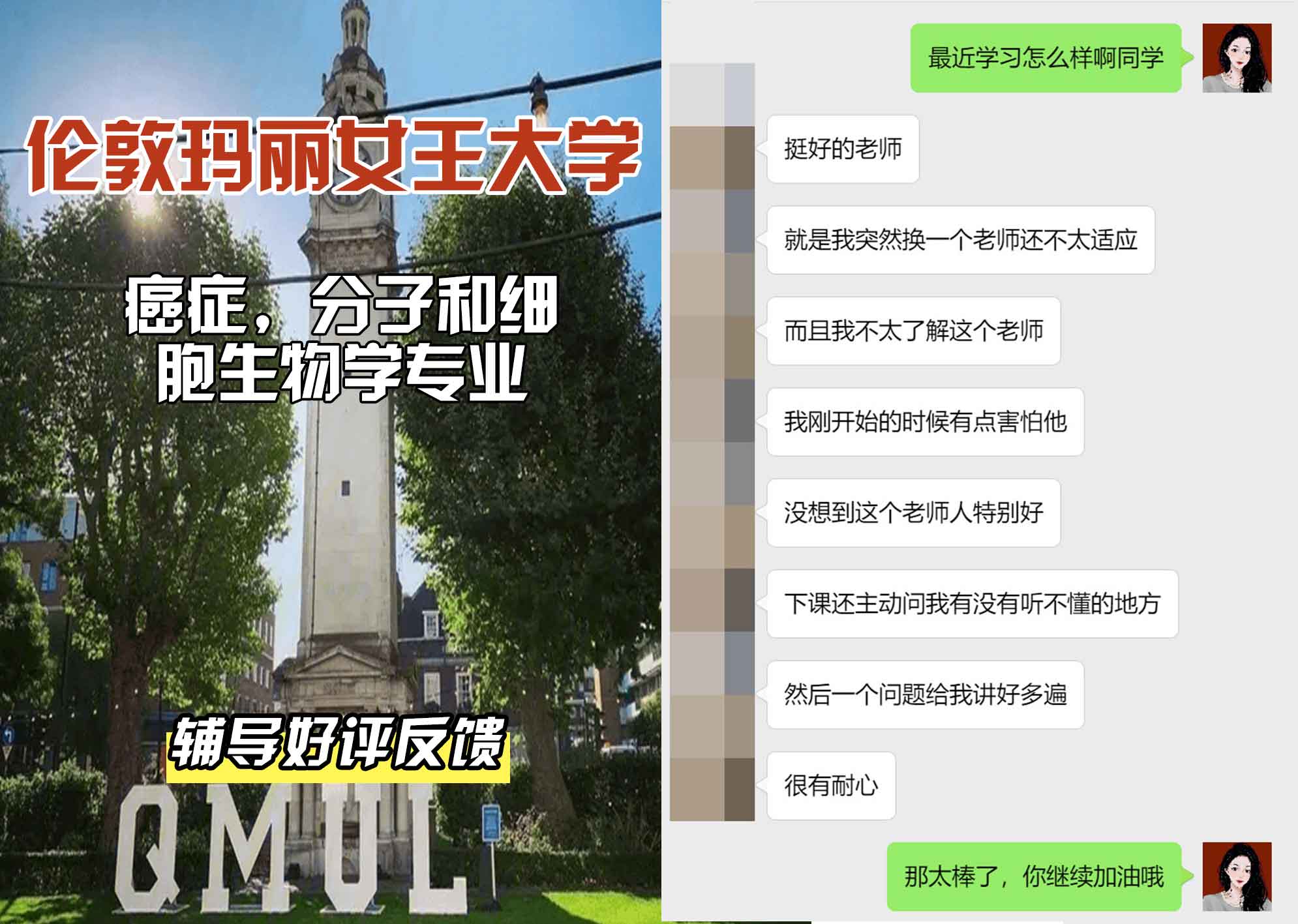 QM女王大学癌症与分子和细胞生物学辅导好评反馈