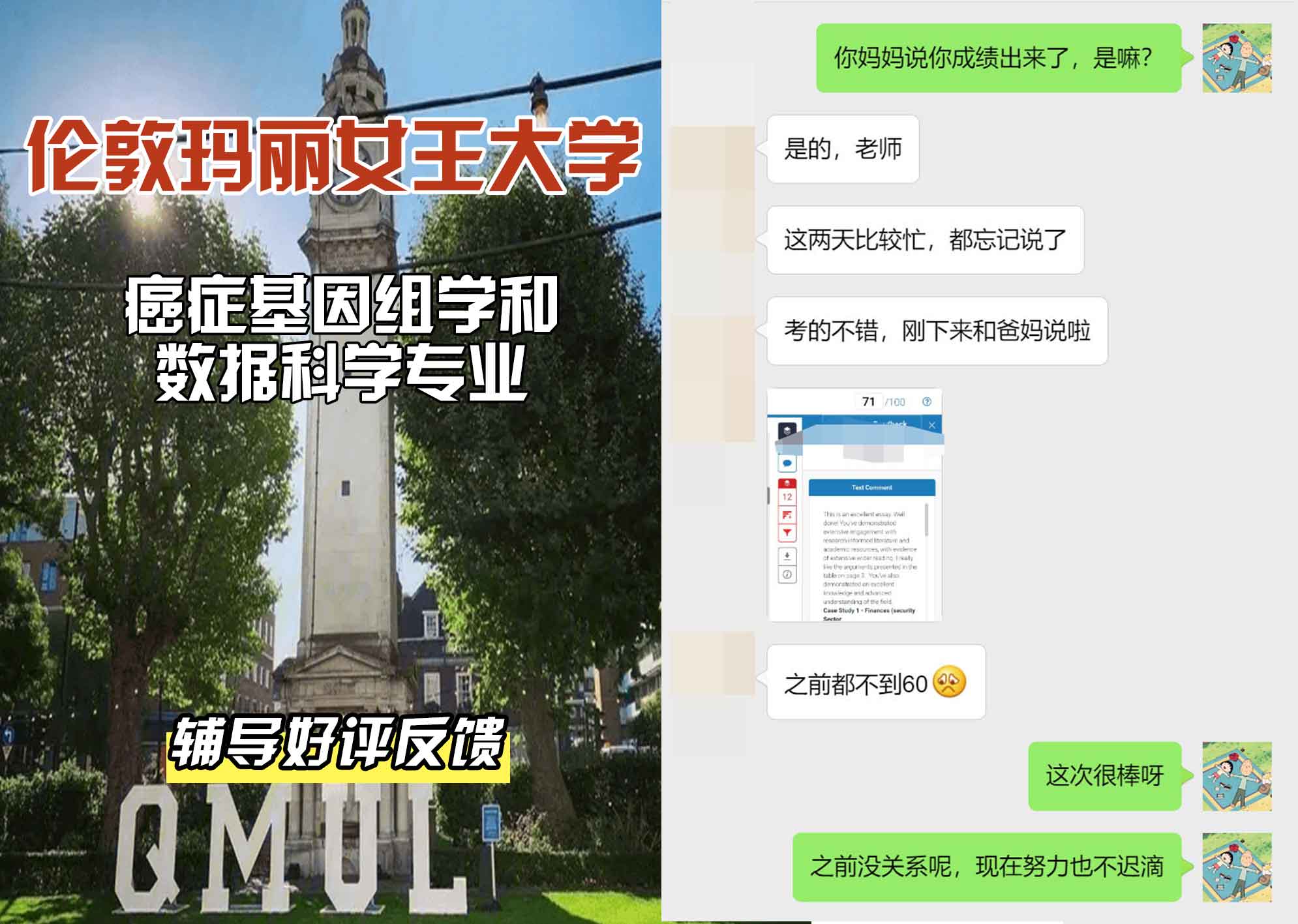 QM女王大学癌症基因组学和数据科学辅导好评反馈