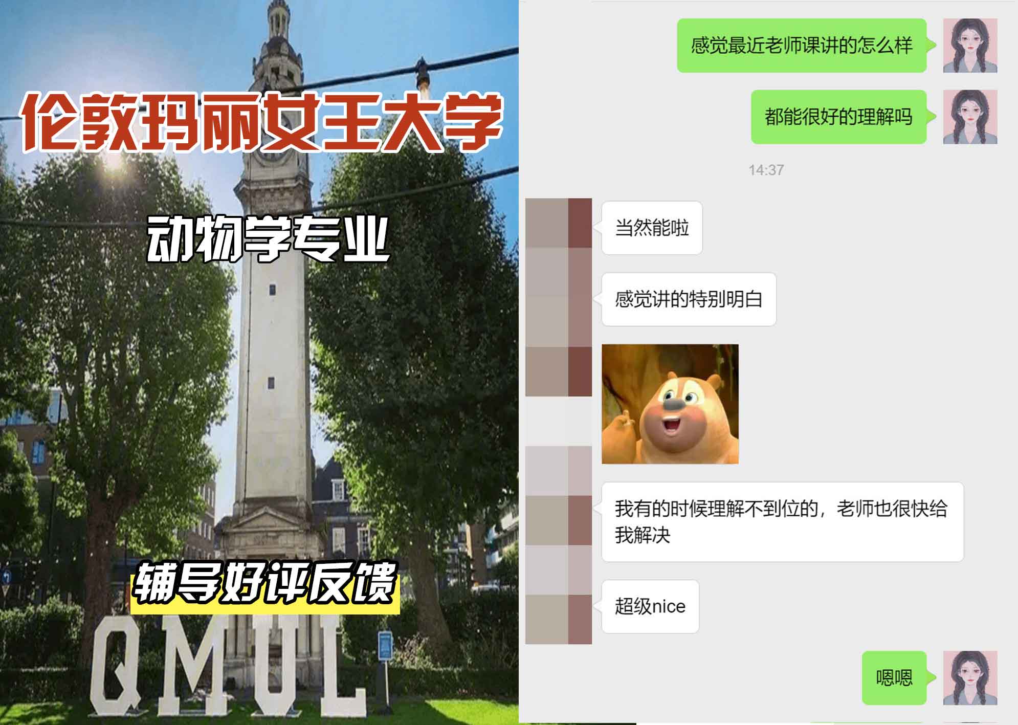 QM女王大学动物学辅导好评反馈