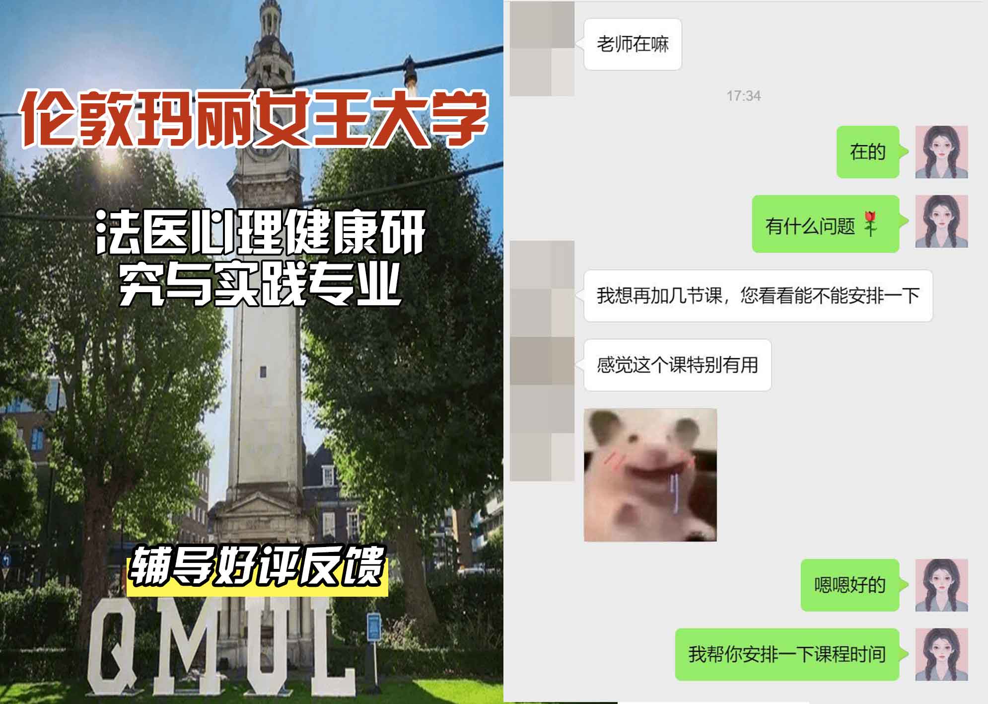 QM女王大学法医心理健康：研究与实践辅导好评反馈
