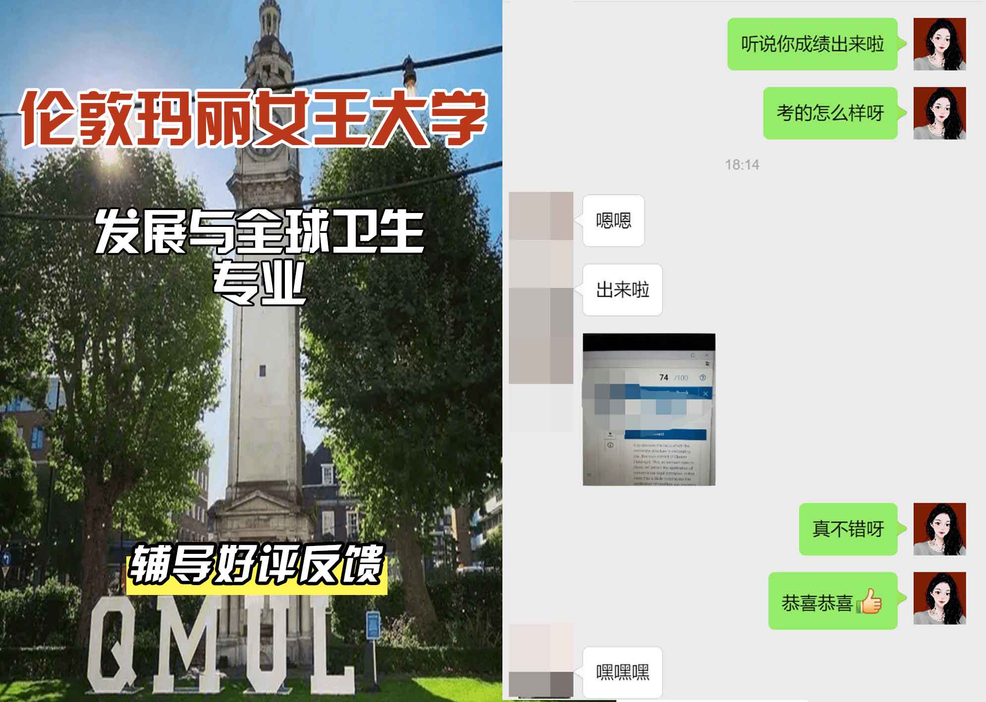 QM女王大学发展与全球卫生辅导好评反馈