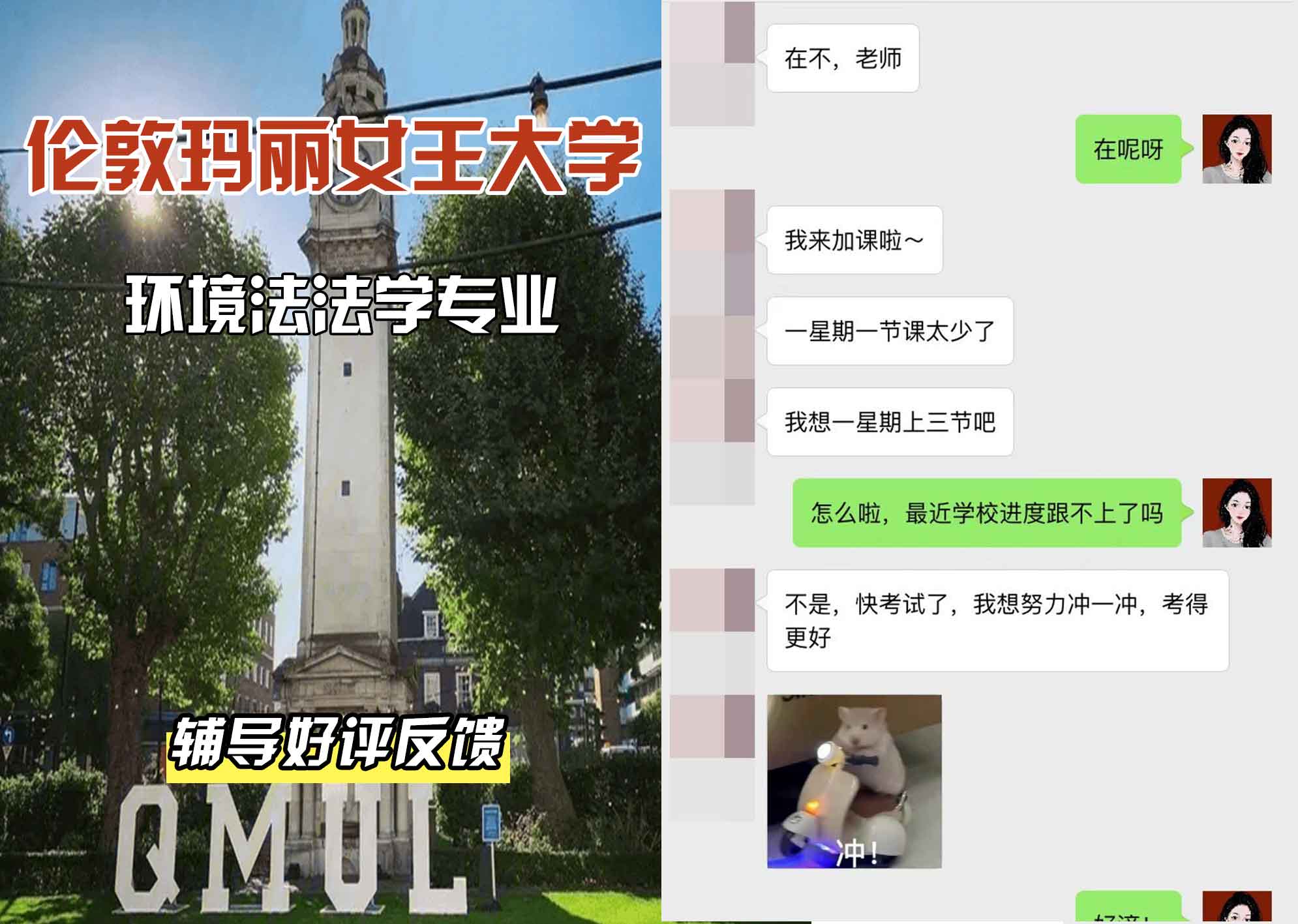 QM女王大学环境法法学辅导好评反馈