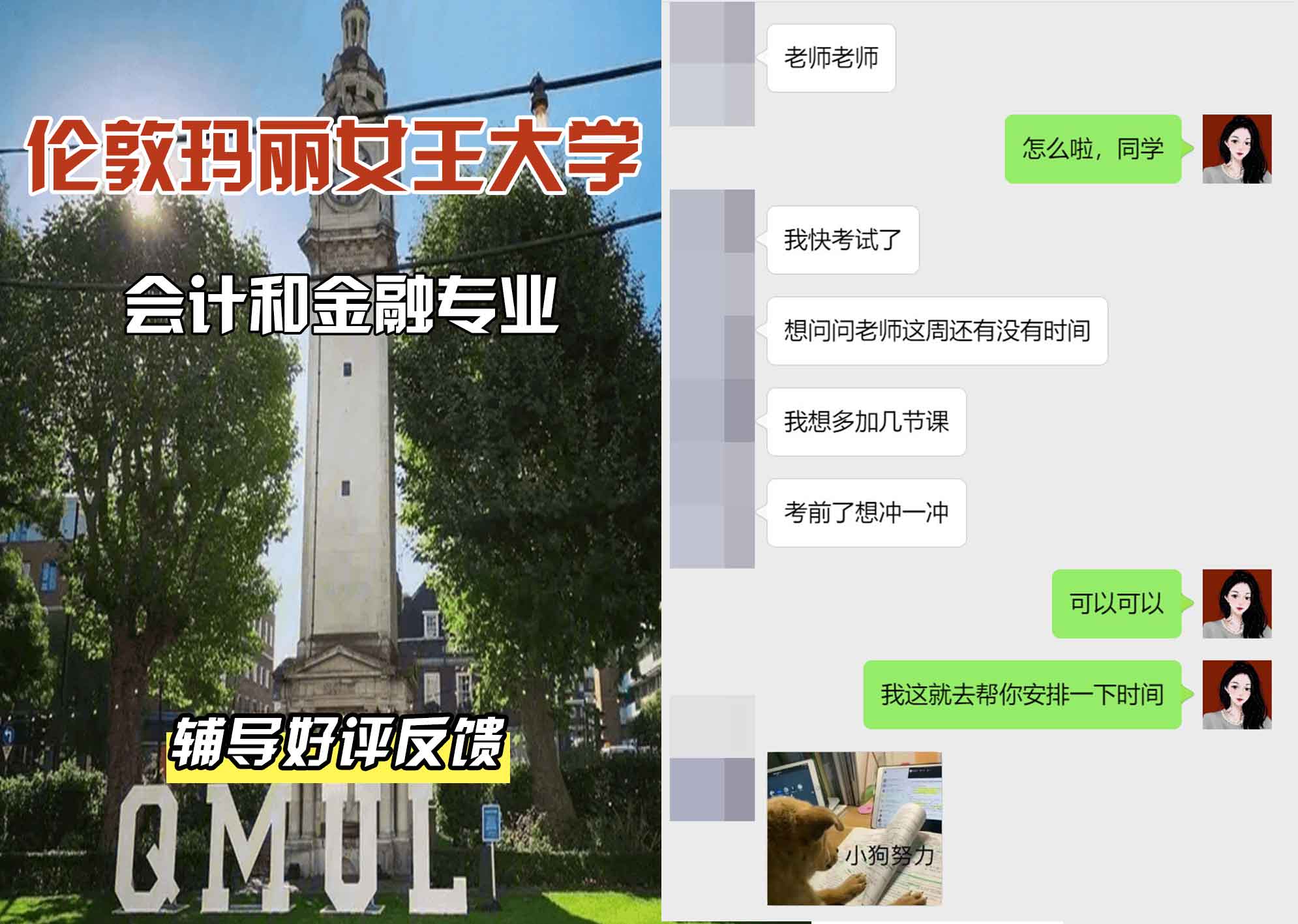QM女王大学会计和金融辅导好评反馈