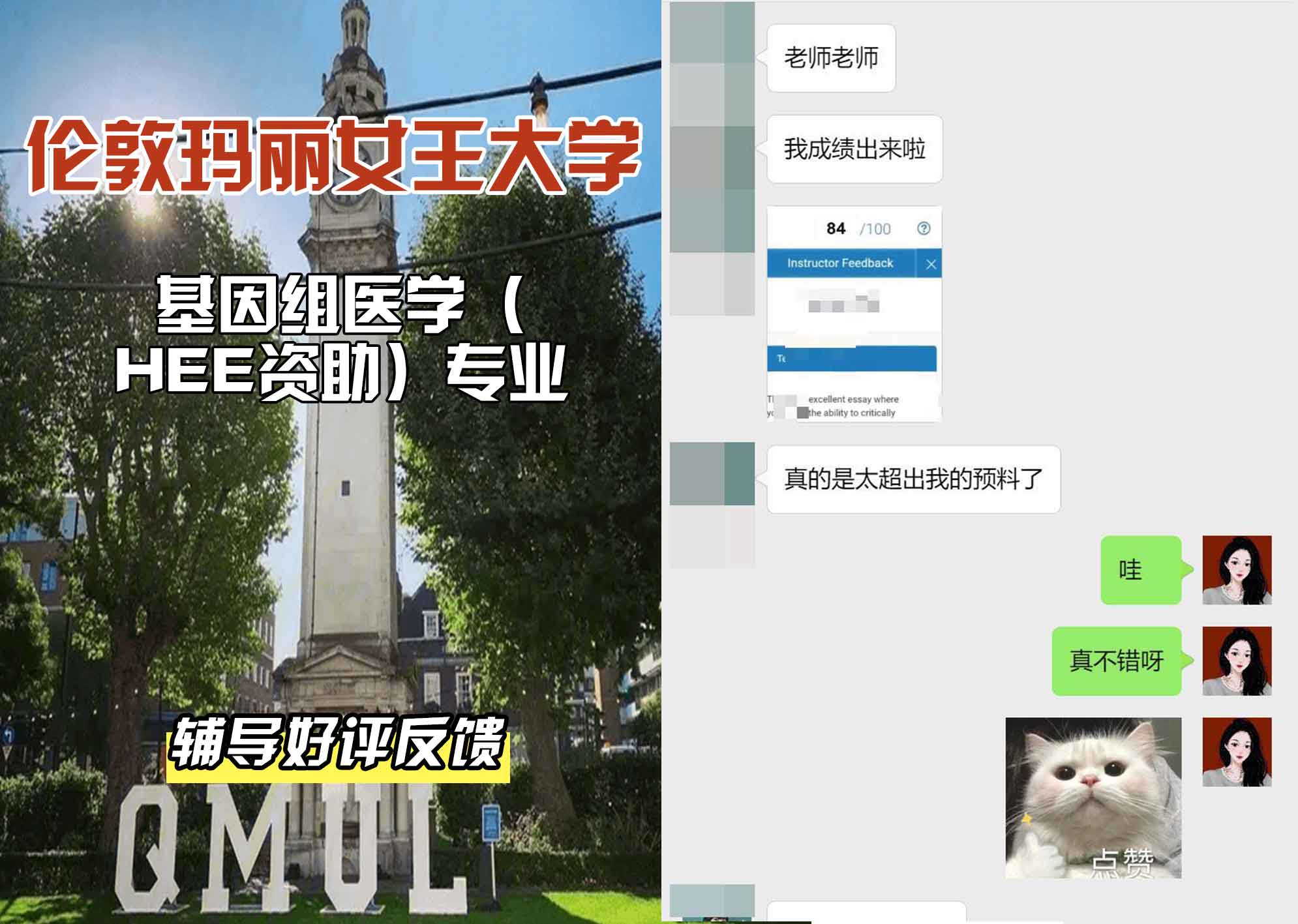 QM女王大学基因组医学（HEE资助）辅导好评反馈