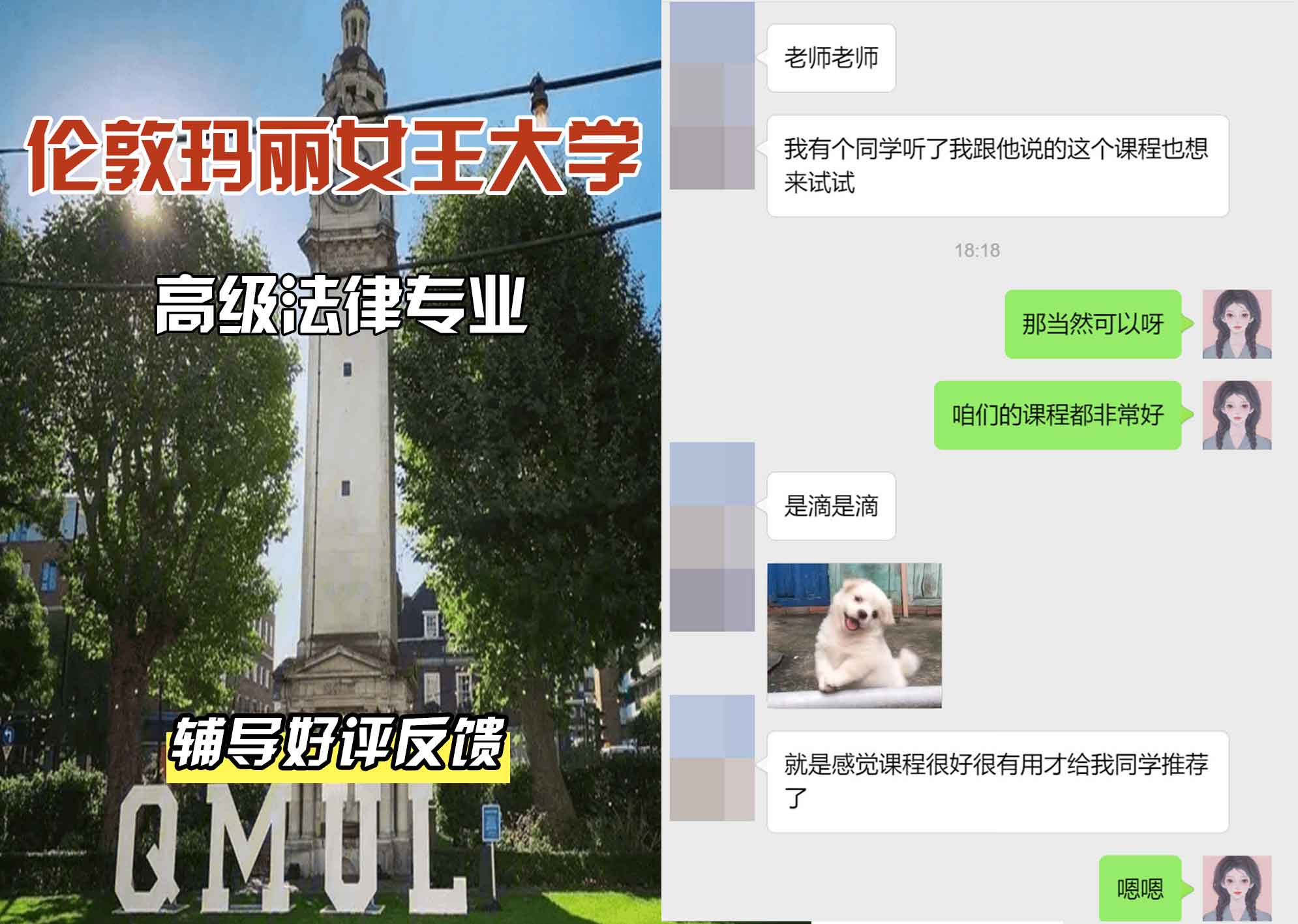 QM女王大学高级法律辅导好评反馈