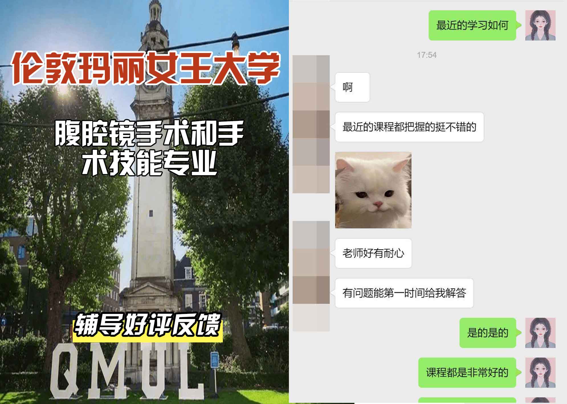QM女王大学腹腔镜手术和手术技能辅导好评反馈