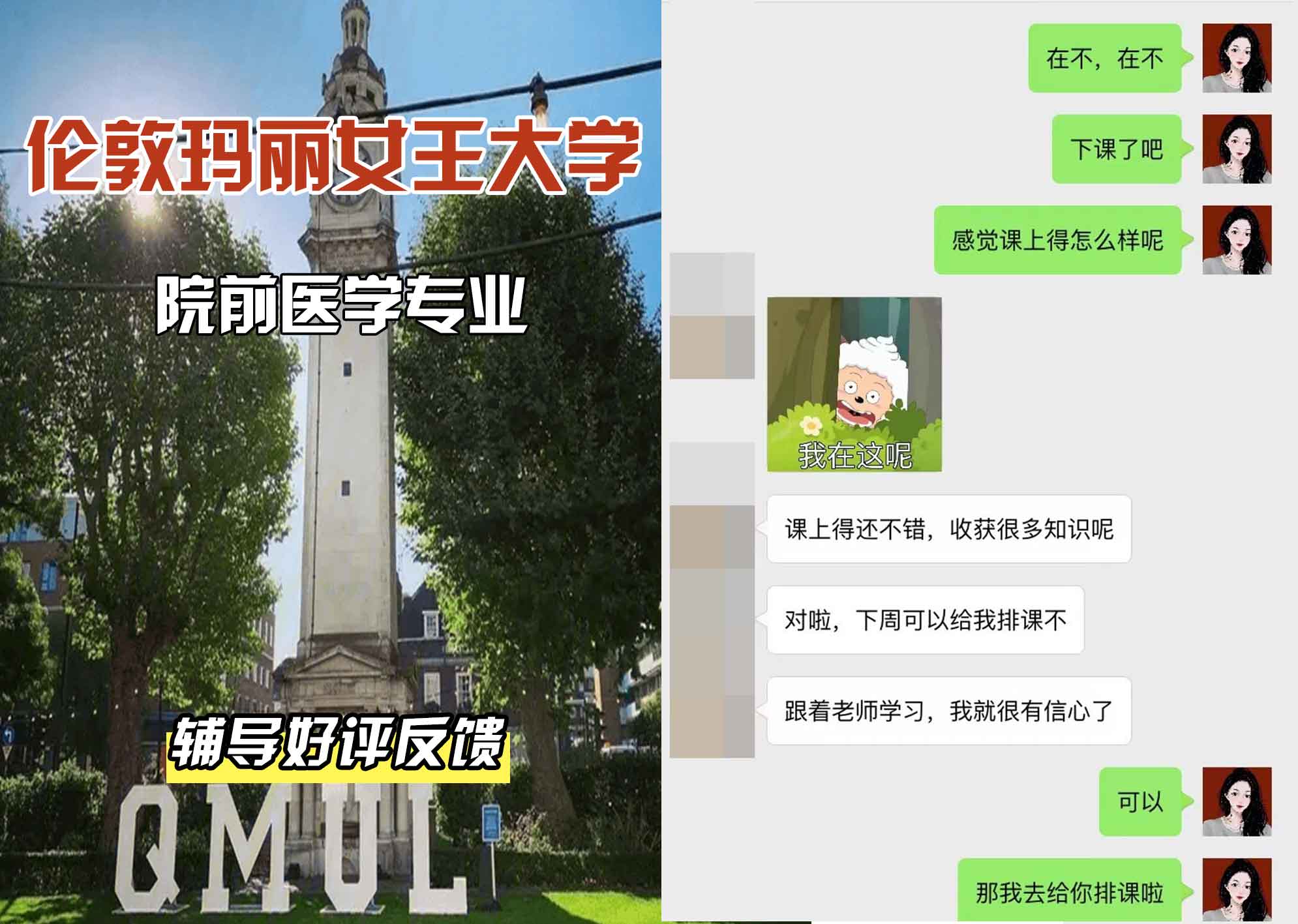 QM女王大学院前医学辅导好评反馈