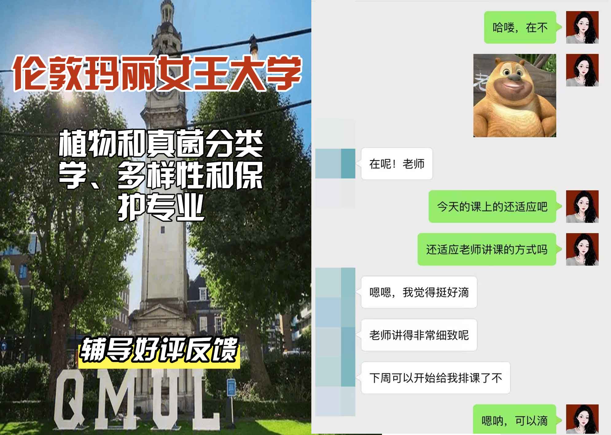QM女王大学植物和真菌分类学、多样性和保护辅导好评反馈