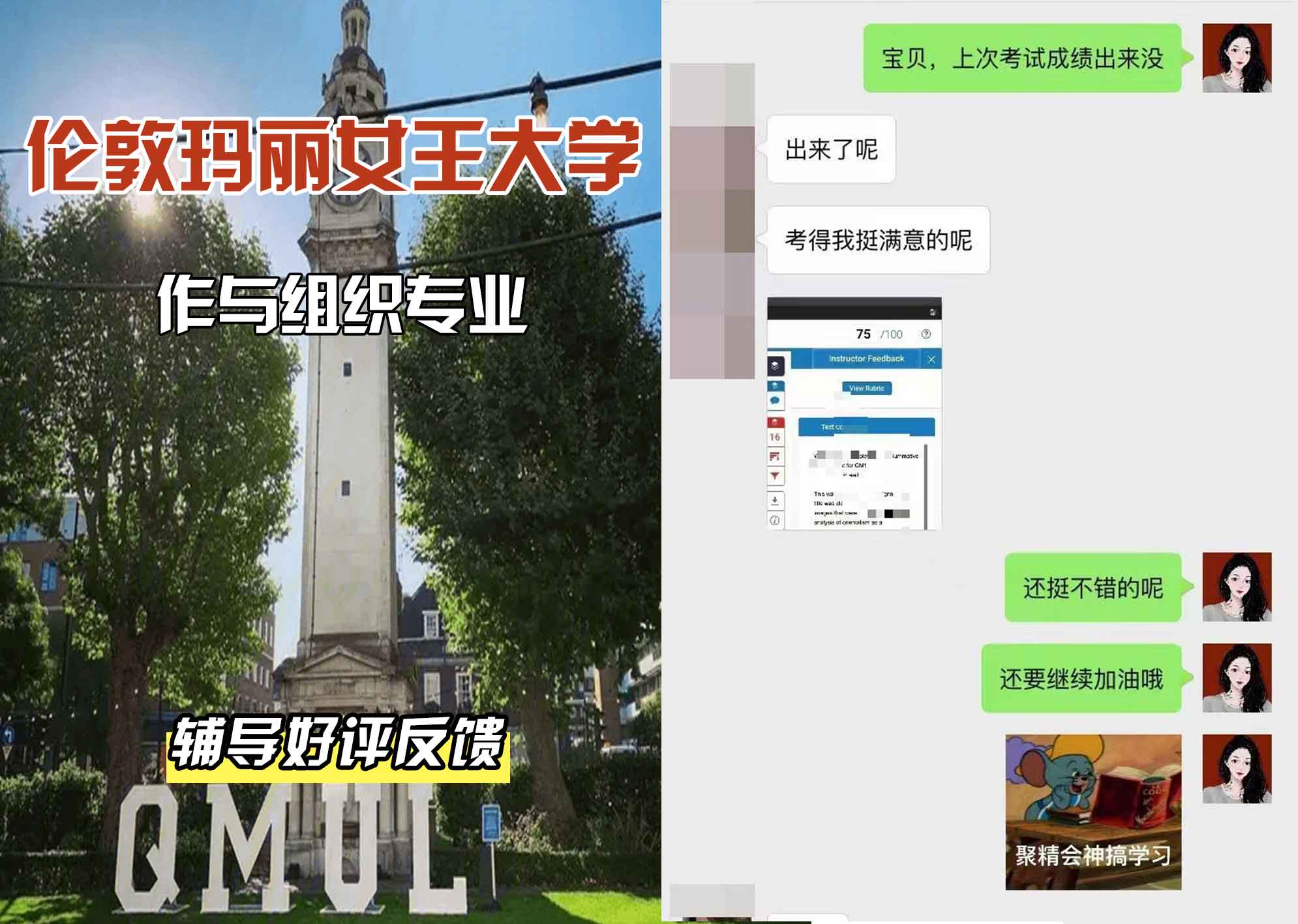 QM女王大学作与组织辅导好评反馈