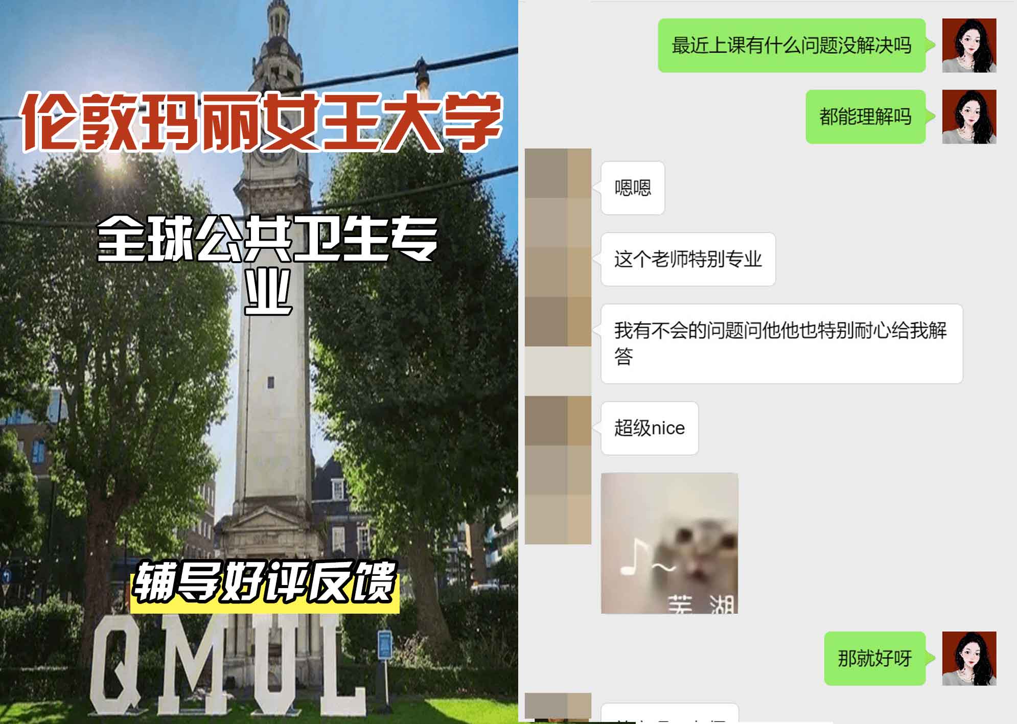 QM女王大学全球公共卫生辅导好评反馈