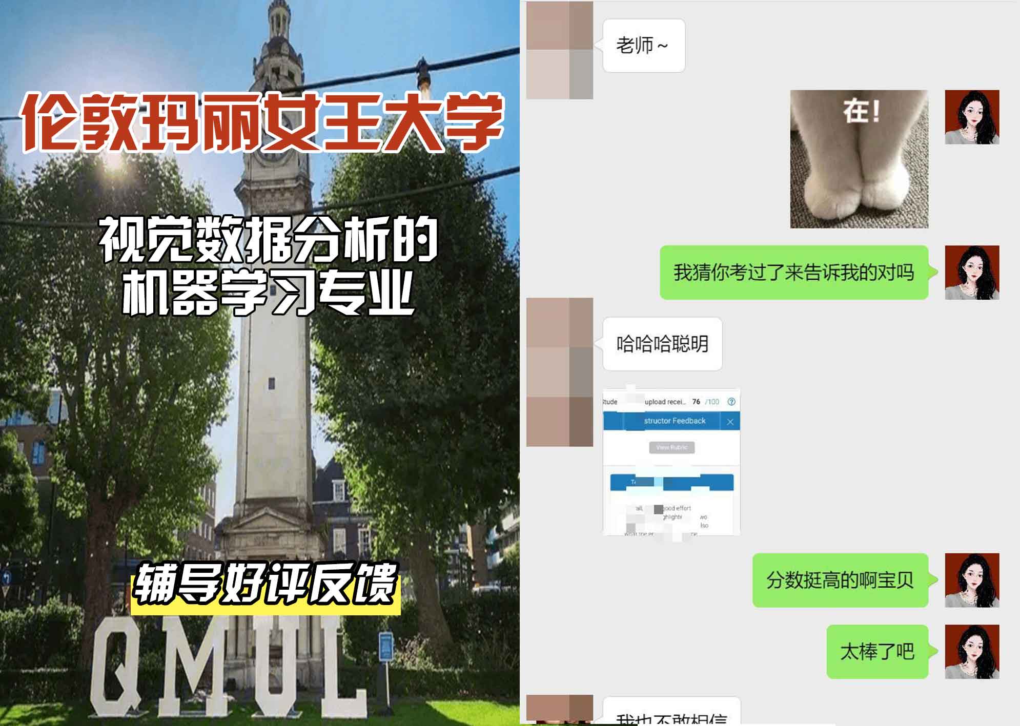 QM女王大学视觉数据分析机器辅导好评反馈