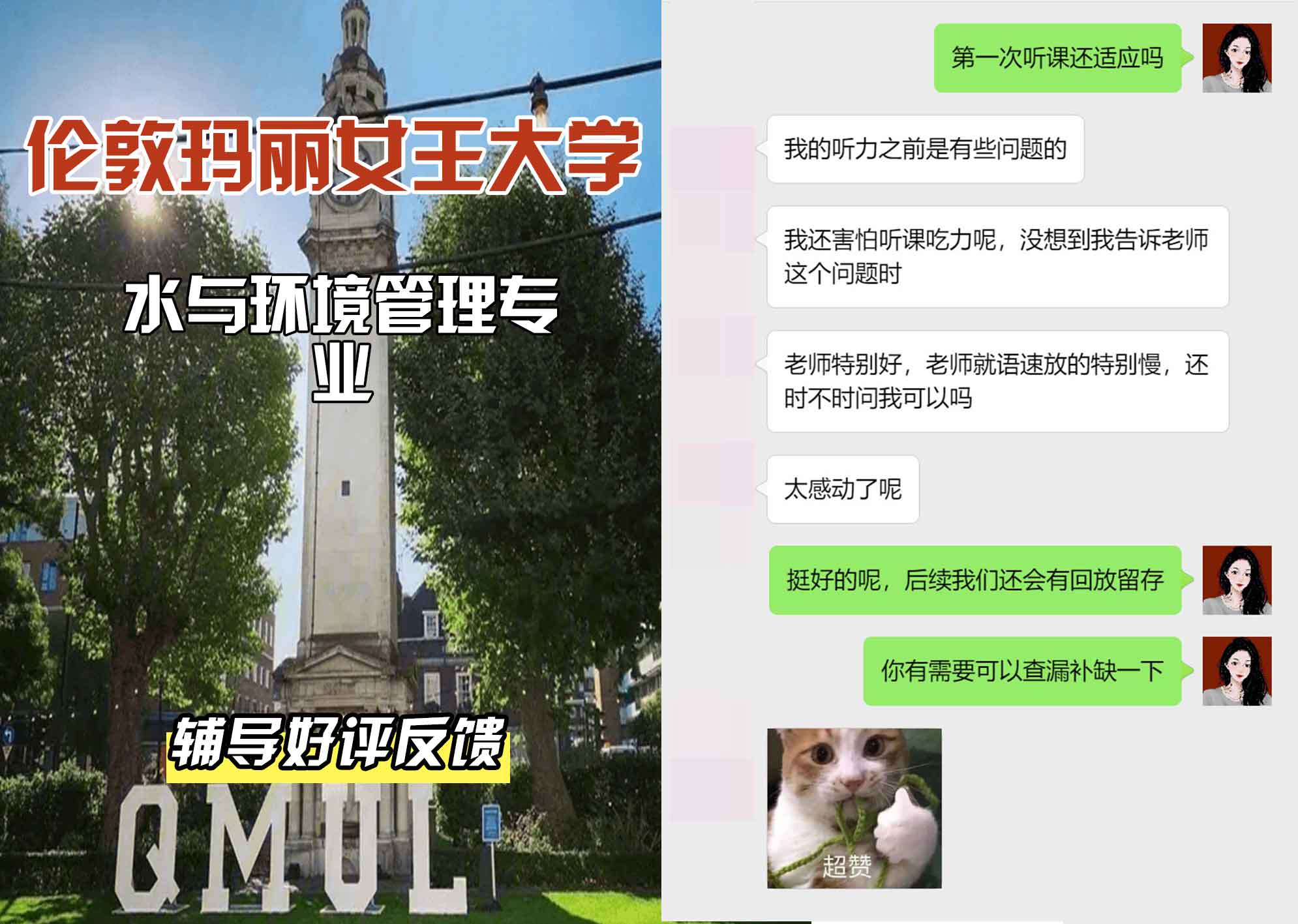 QM女王大学水与环境管理辅导好评反馈