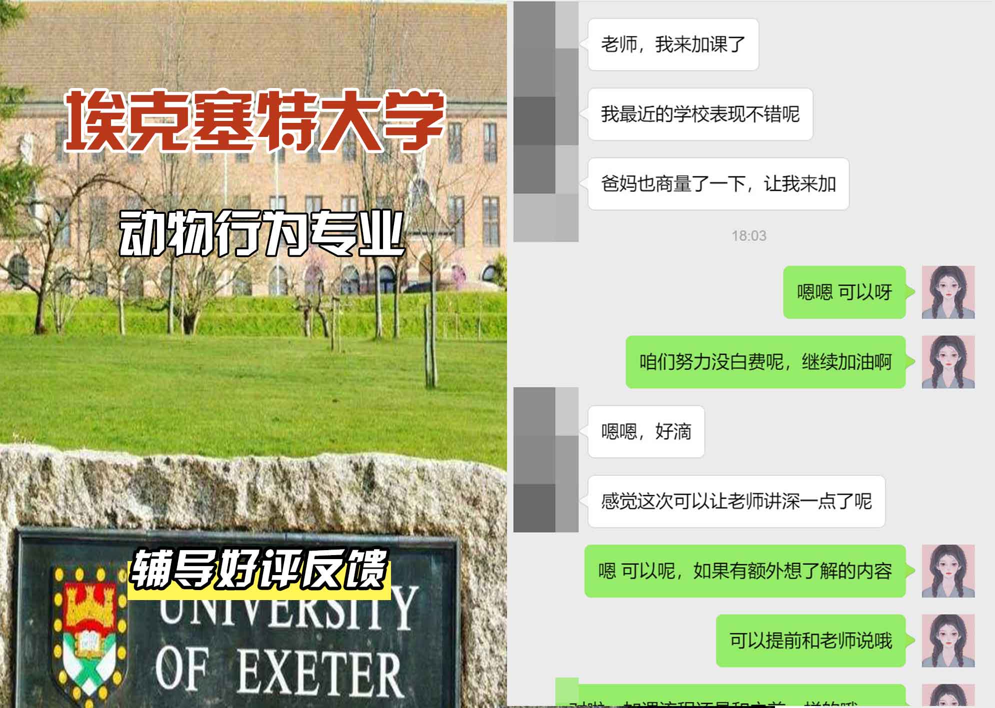埃大埃克塞特大学动物行为辅导好评反馈
