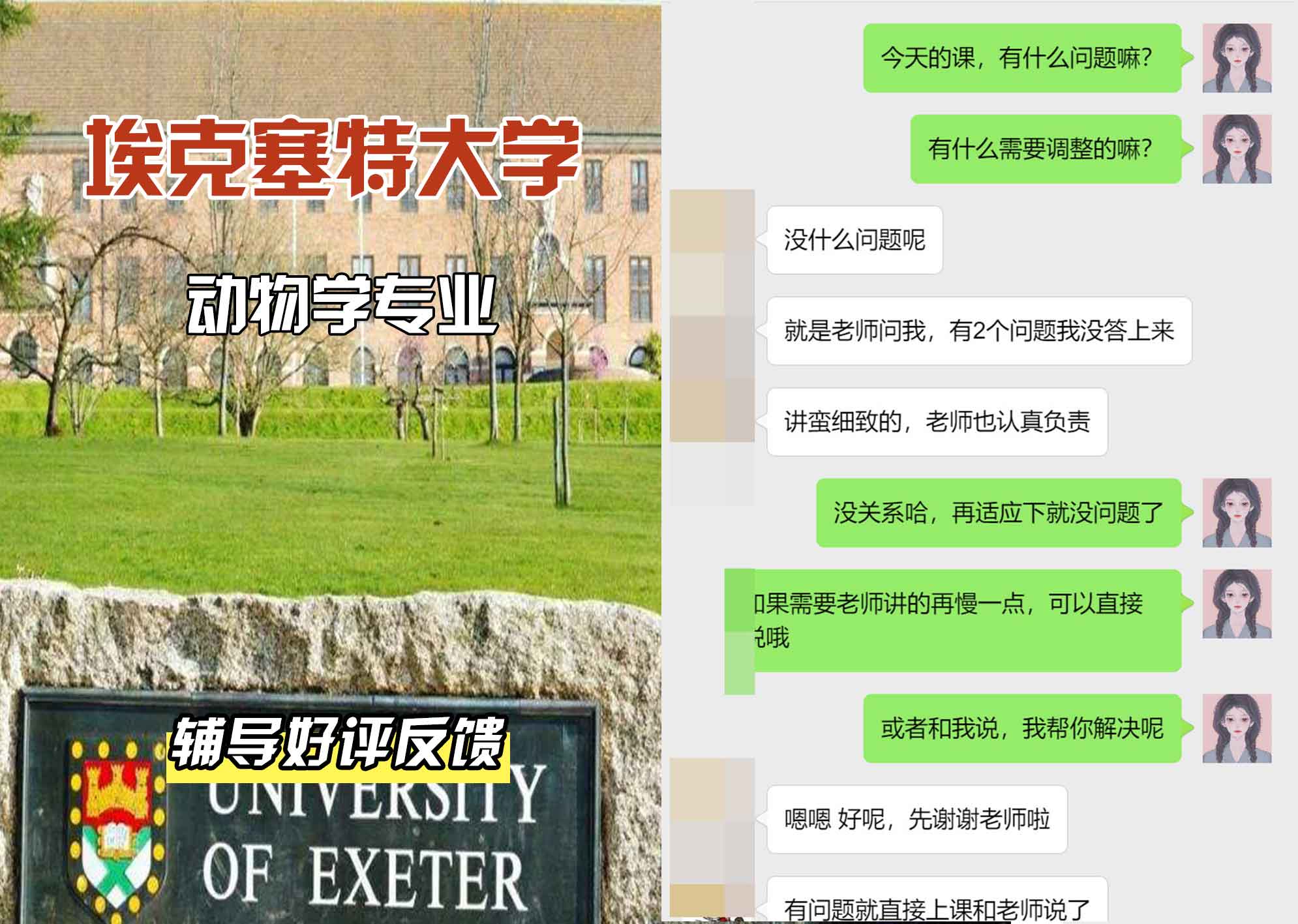 埃大埃克塞特大学动物学辅导好评反馈