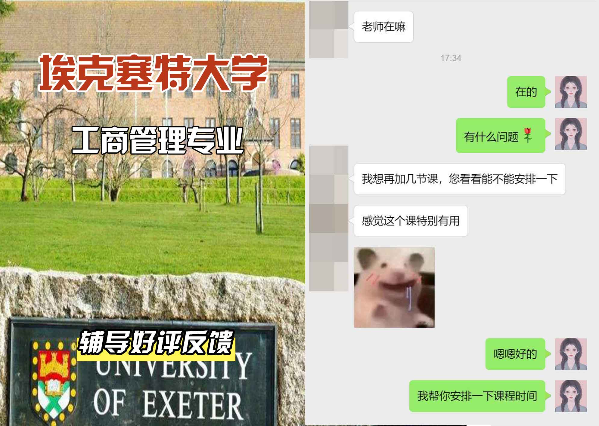 埃大埃克塞特大学工商管理辅导好评反馈