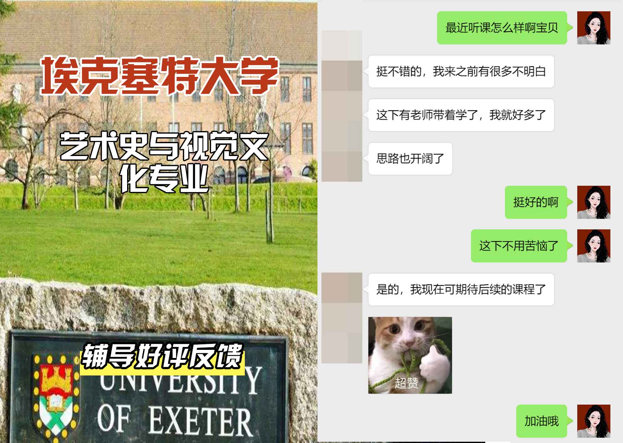 埃大埃克塞特大学艺术史与视觉文化辅导好评反馈