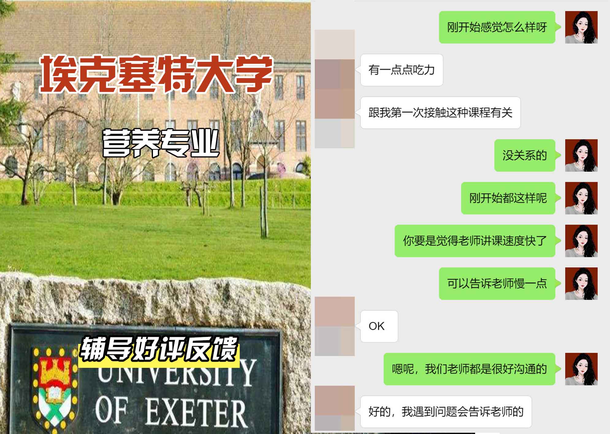 埃大埃克塞特大学营养辅导好评反馈