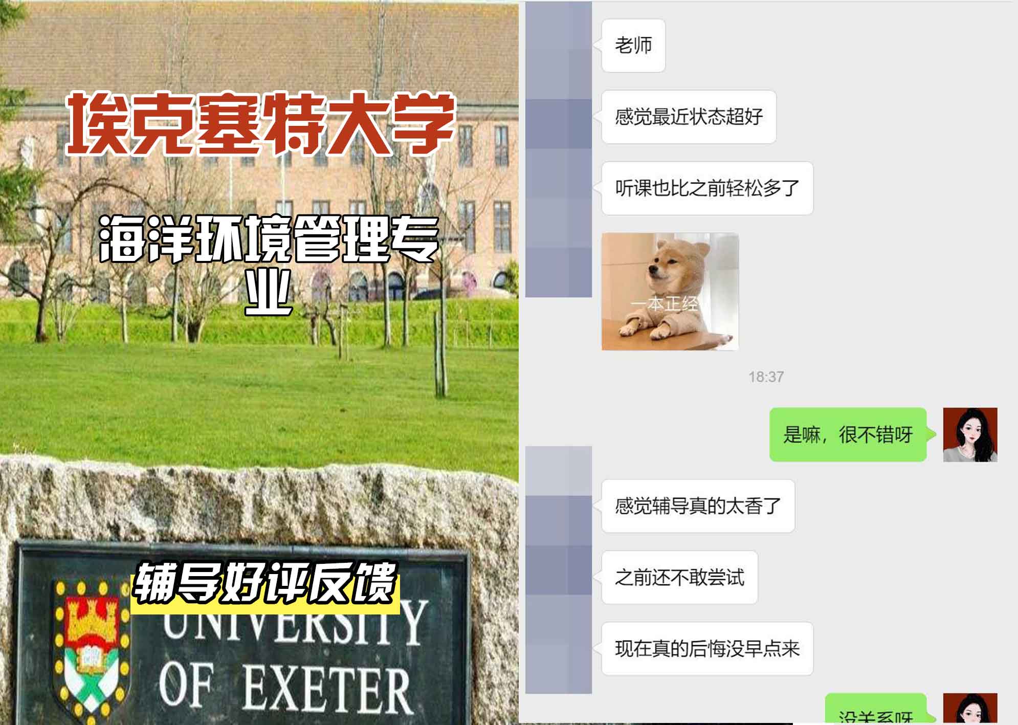 埃大埃克塞特大学海洋环境管理辅导好评反馈