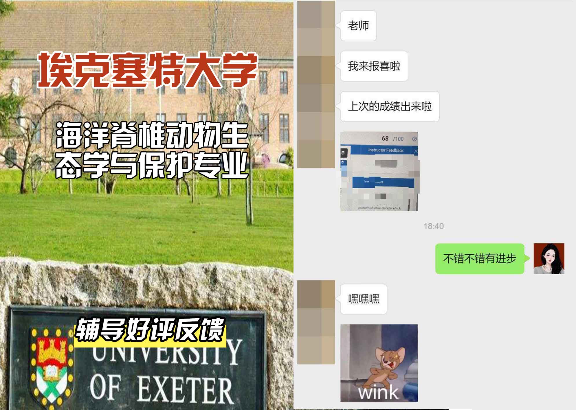 埃大埃克塞特大学海洋脊椎动物生态学与保护辅导好评反馈