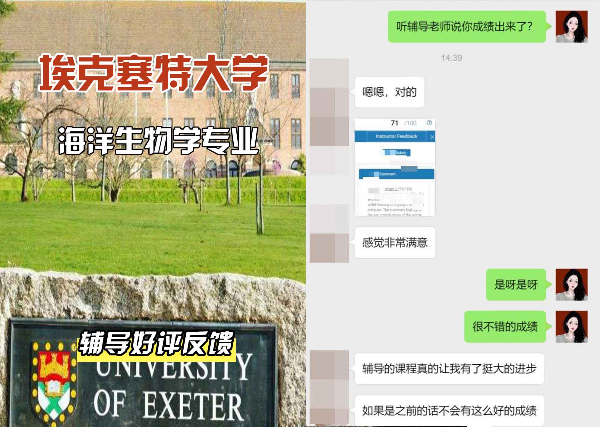 埃大埃克塞特大学海洋生物学辅导好评反馈