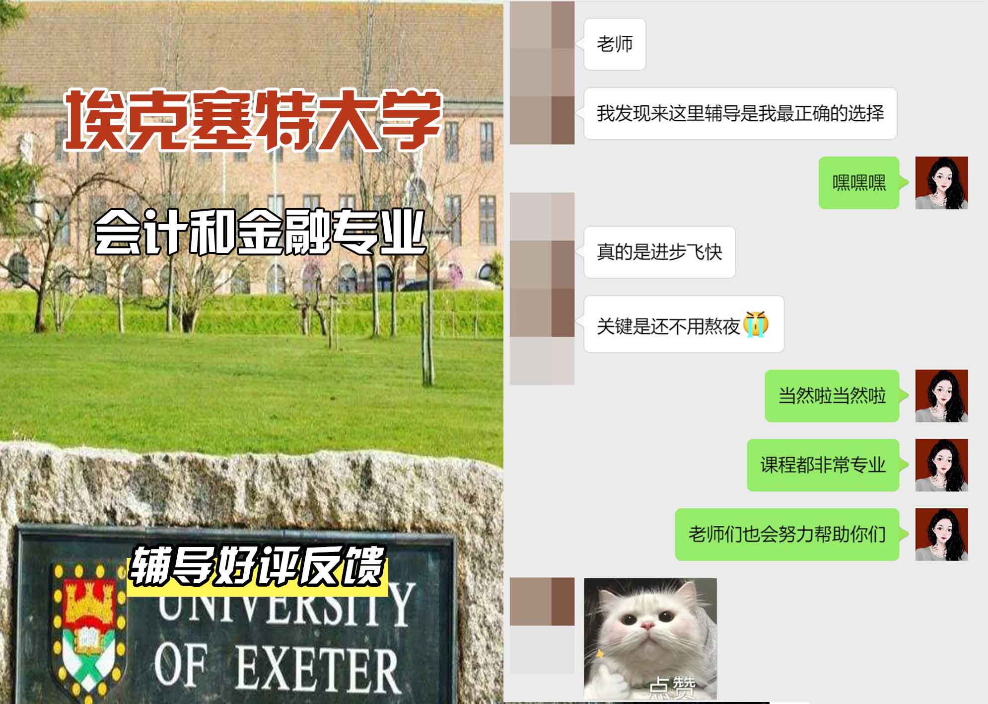 埃大埃克塞特大学会计和金融辅导好评反馈