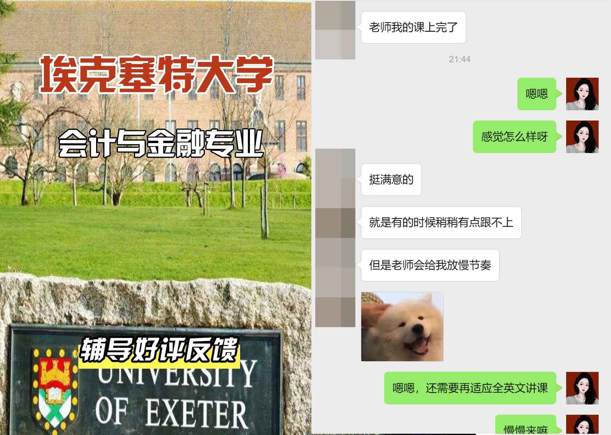 埃大埃克塞特大学会计与金融辅导好评反馈