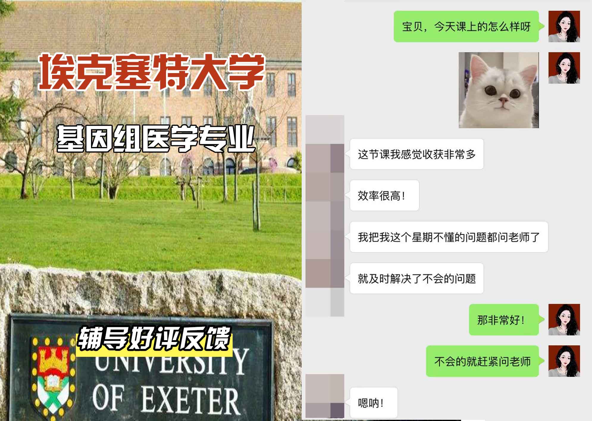 埃大埃克塞特大学基因组医学辅导好评反馈