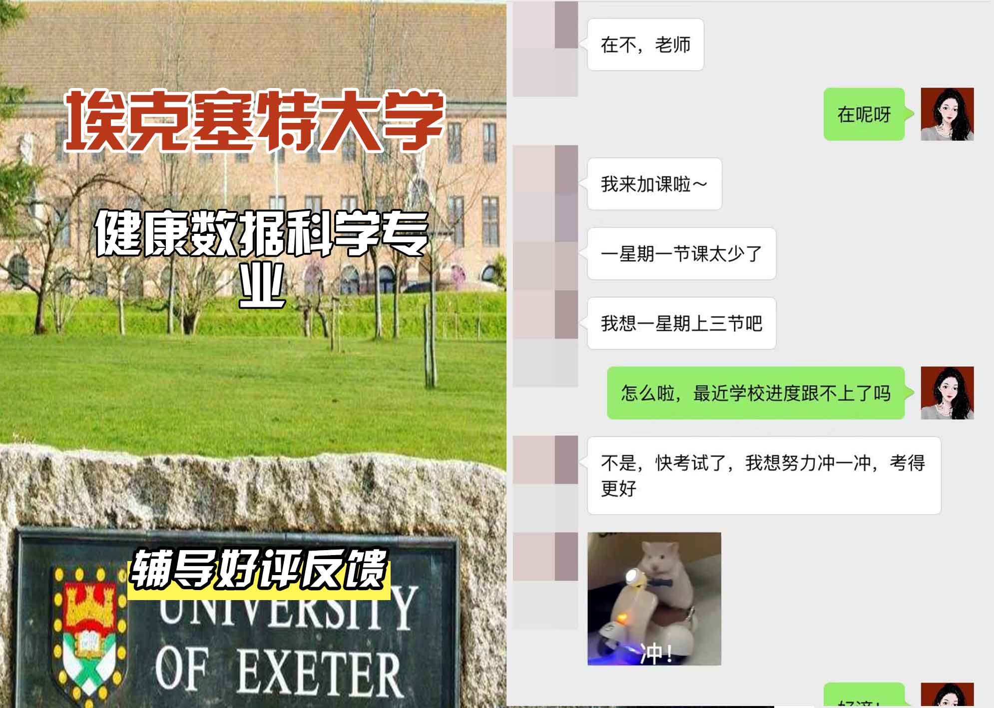 埃大埃克塞特大学健康数据科学辅导好评反馈