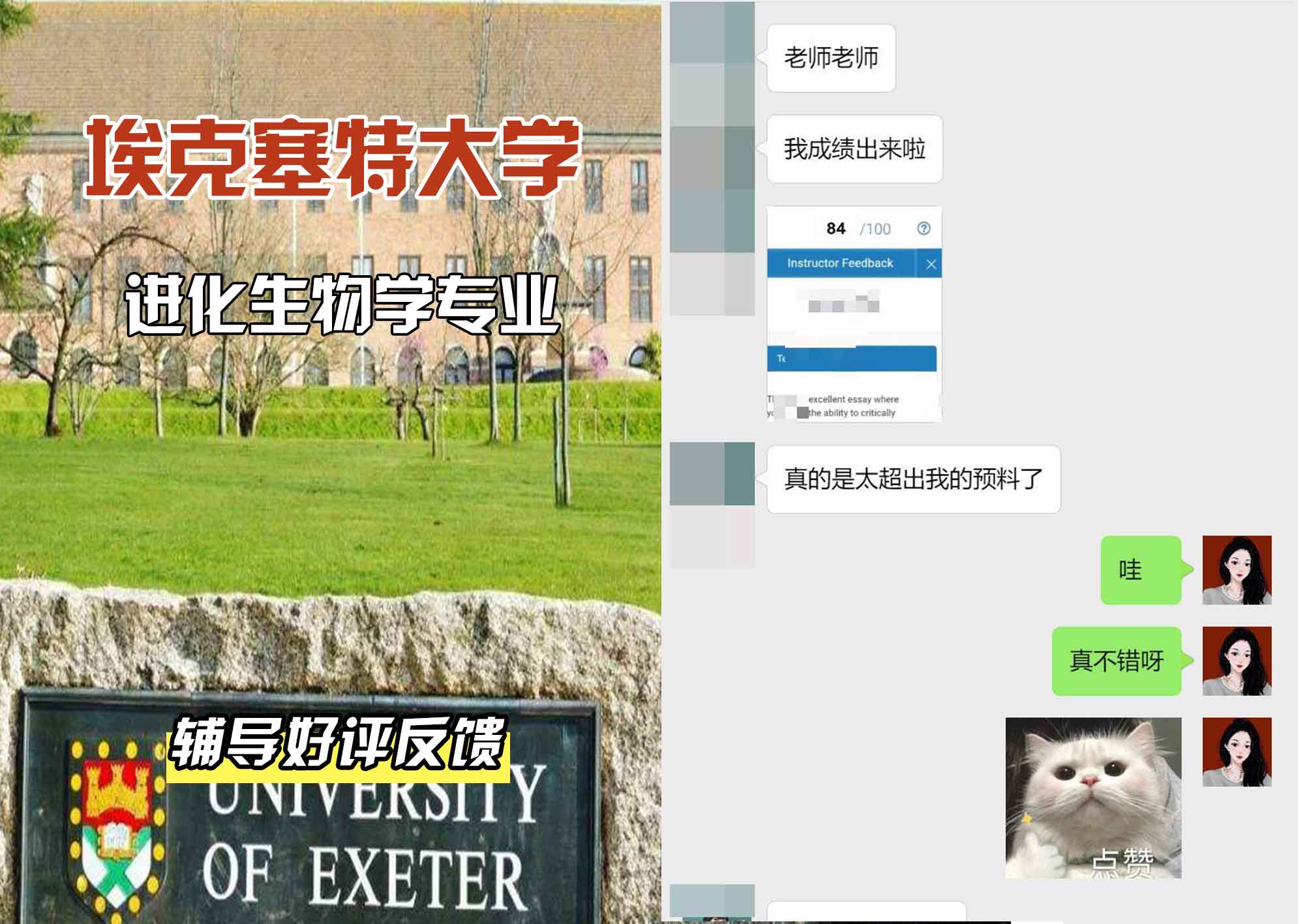 埃大埃克塞特大学进化生物学辅导好评反馈