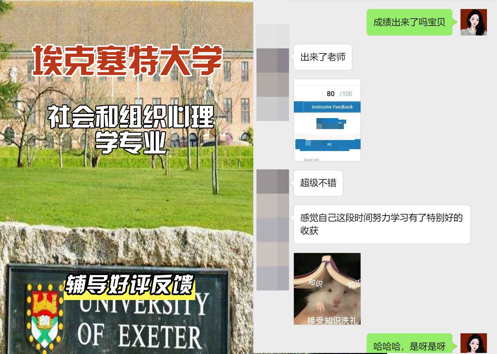 埃大埃克塞特大学社会和组织心理学辅导好评反馈