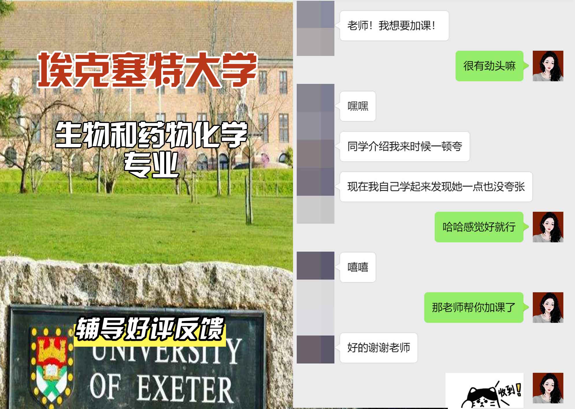 埃大埃克塞特大学生物和药物化学辅导好评反馈