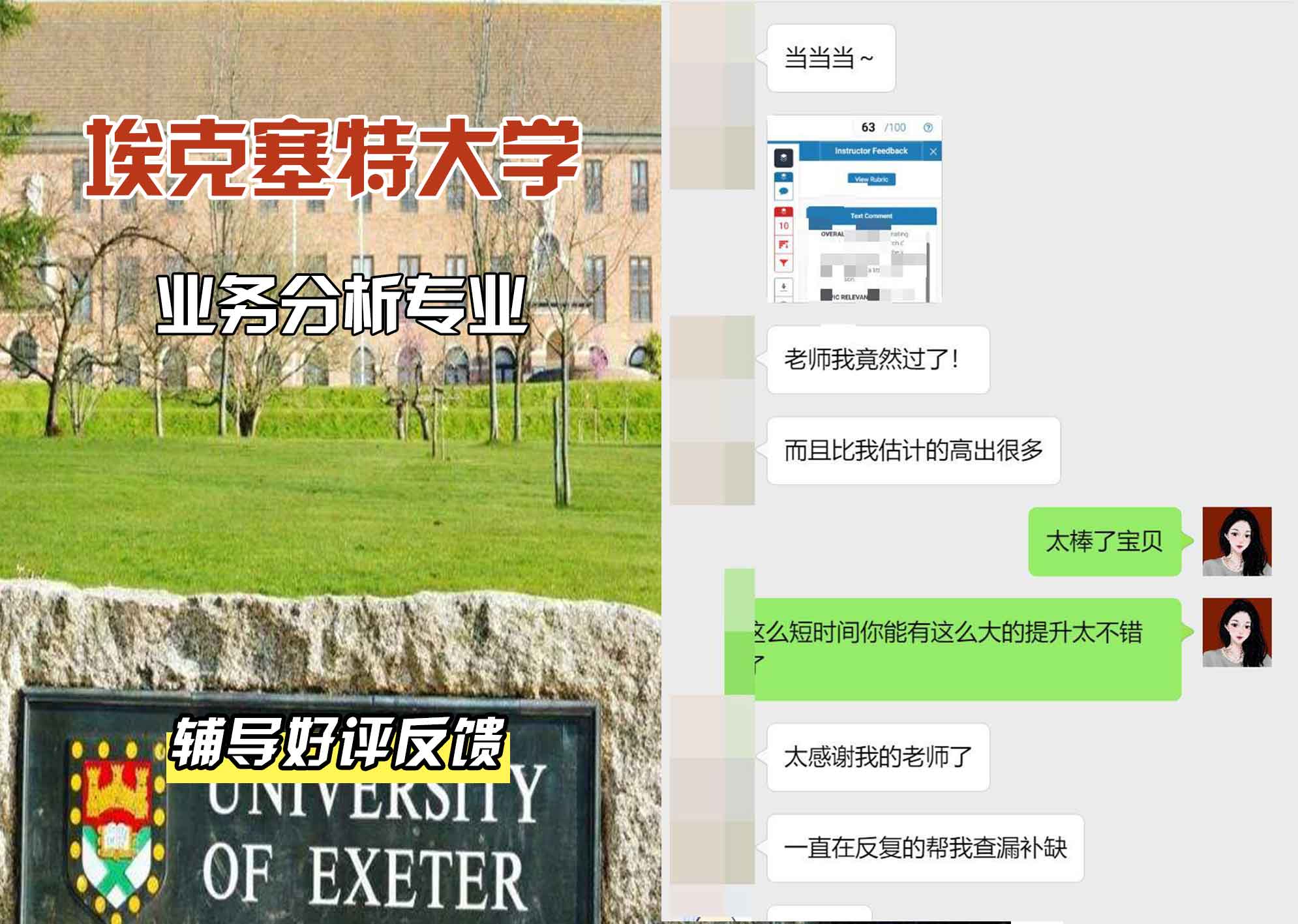 埃大埃克塞特大学业务分析辅导好评反馈