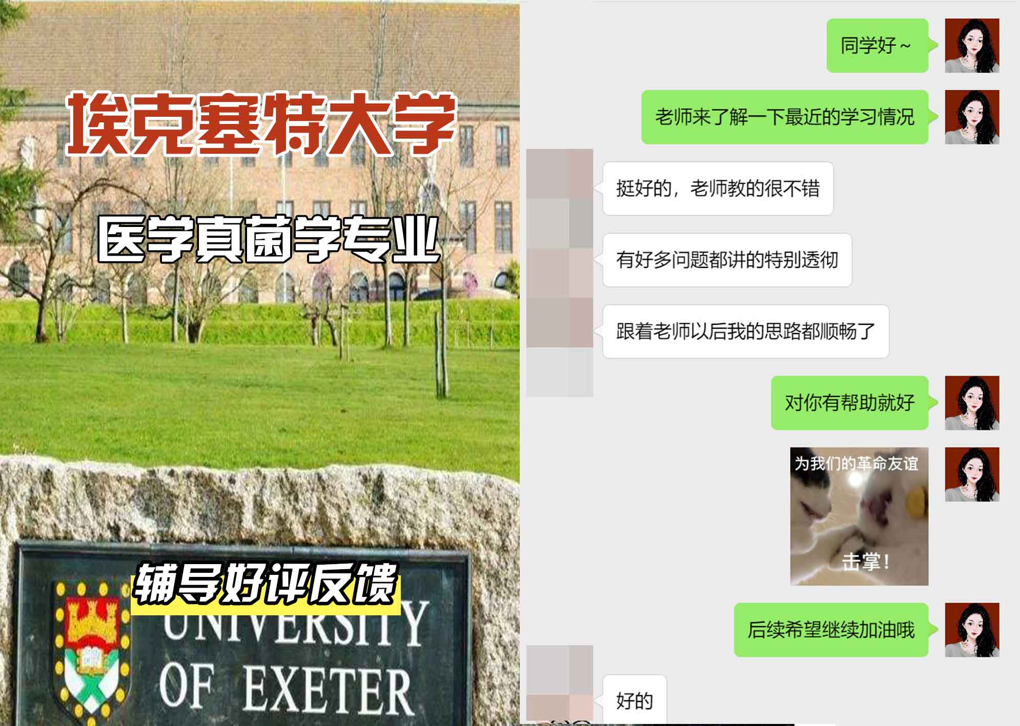 埃大埃克塞特大学医学真菌学辅导好评反馈