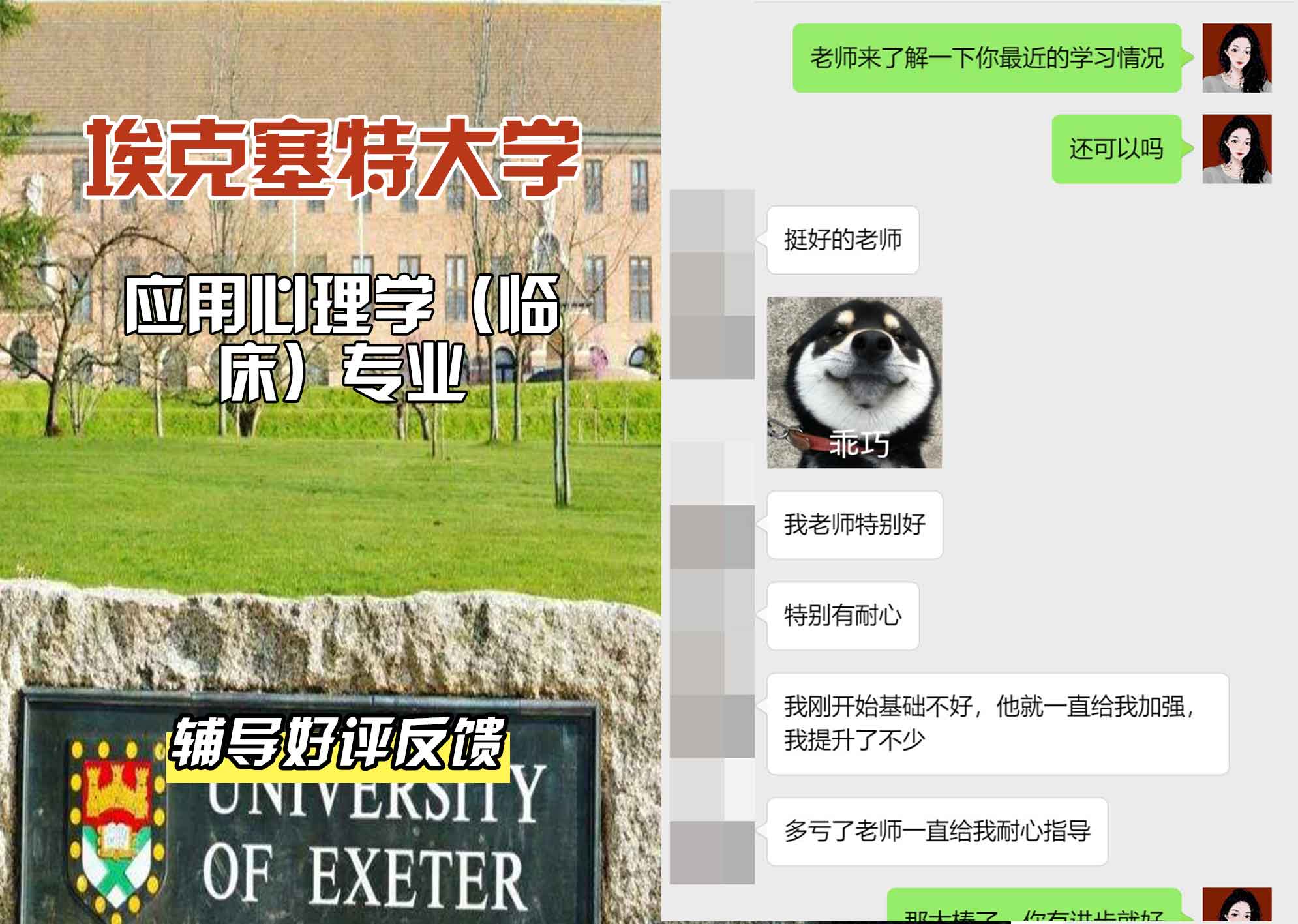 埃大埃克塞特大学应用心理学（临床）辅导好评反馈