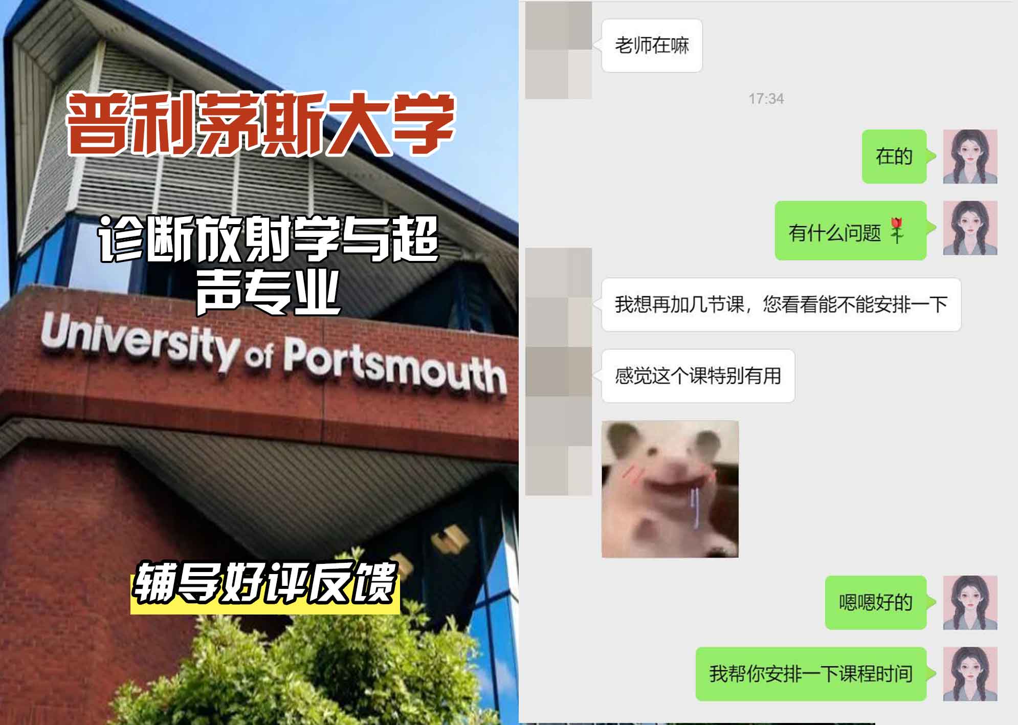 普利茅斯大学UOP诊断放射学与超声辅导好评反馈