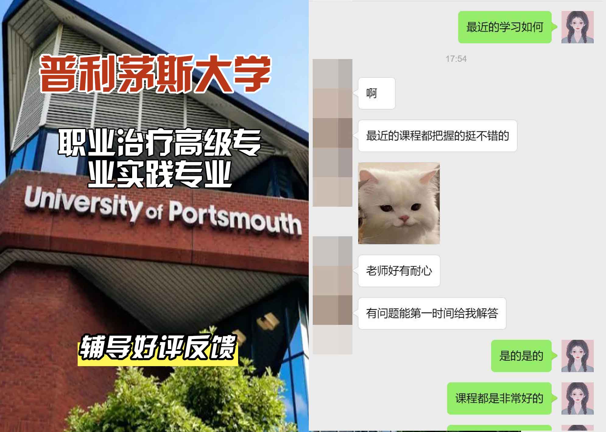 普利茅斯大学UOP职业治疗高级专业实践辅导好评反馈