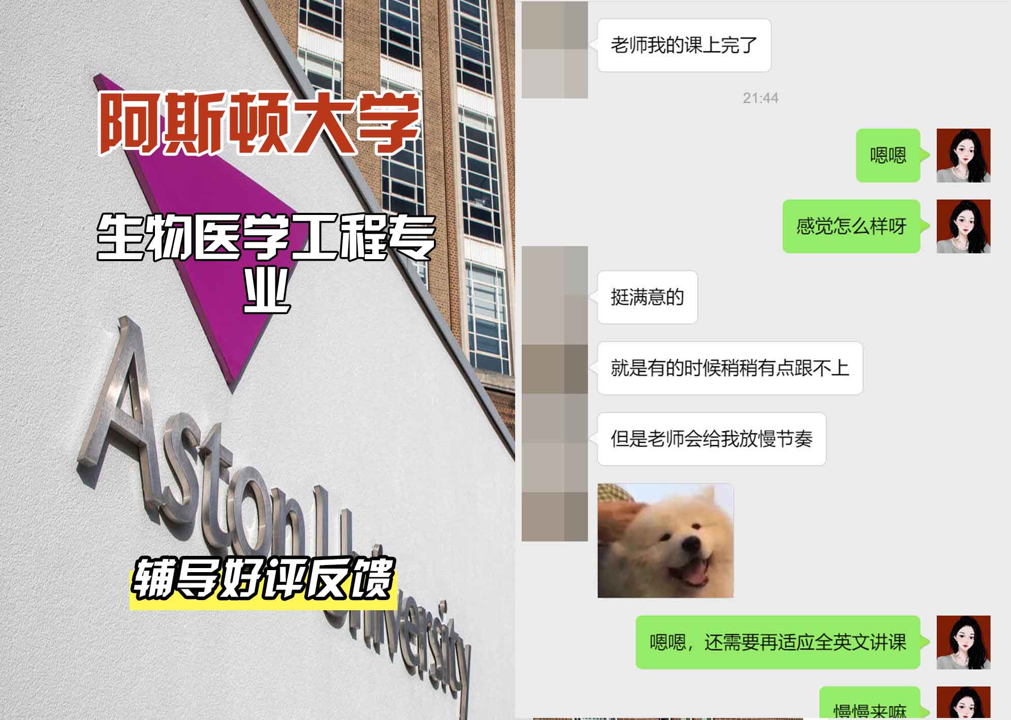 Aston阿斯顿大学生物医学工程辅导好评反馈