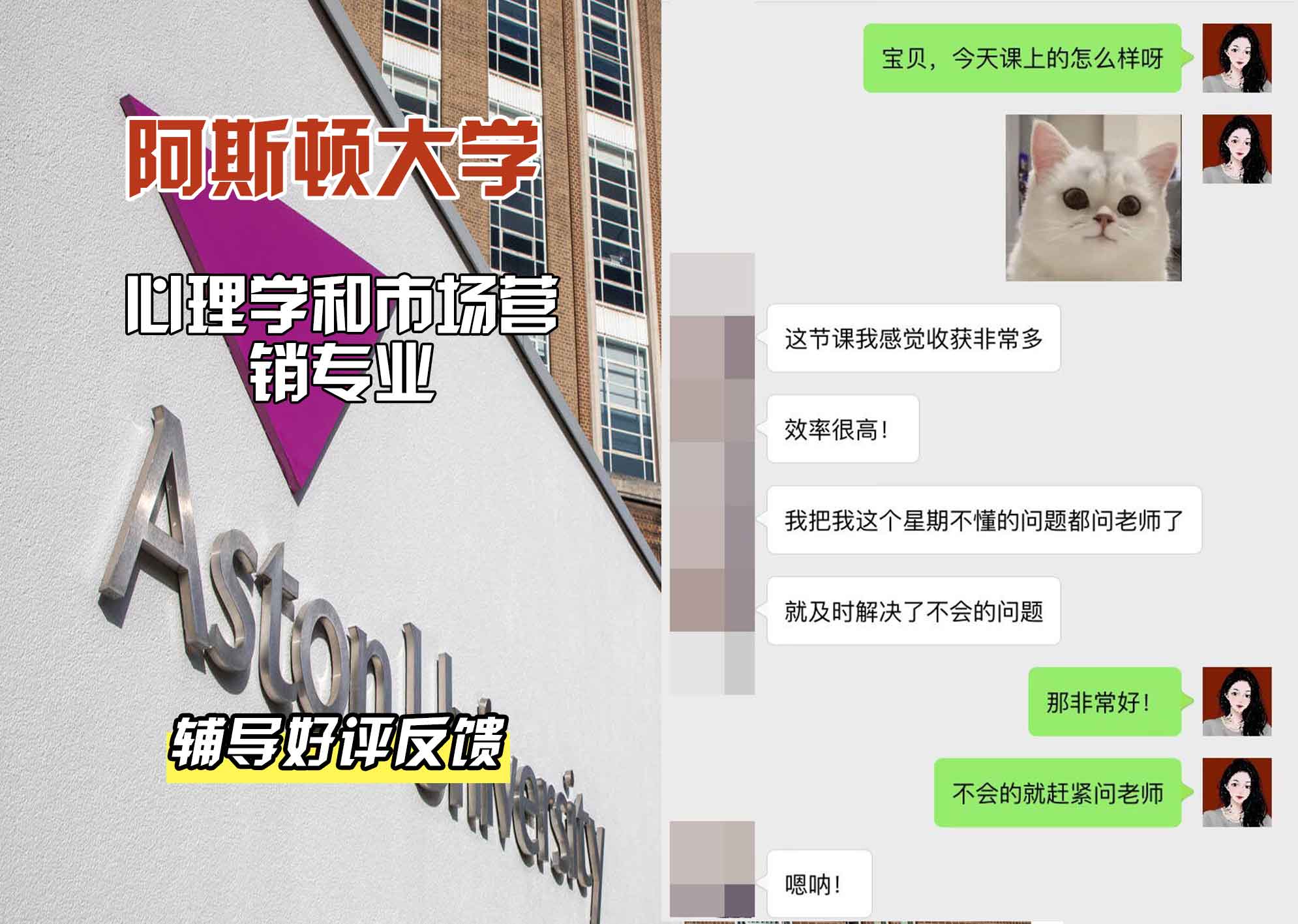 Aston阿斯顿大学心理学和市场营销辅导好评反馈