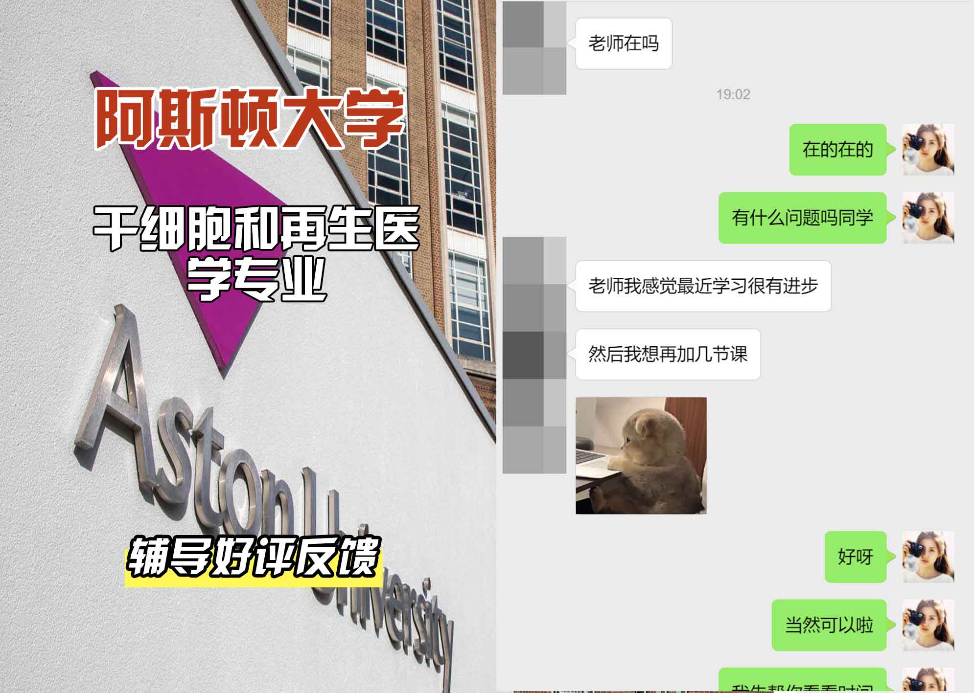 Aston阿斯顿大学干细胞和再生医学辅导好评反馈