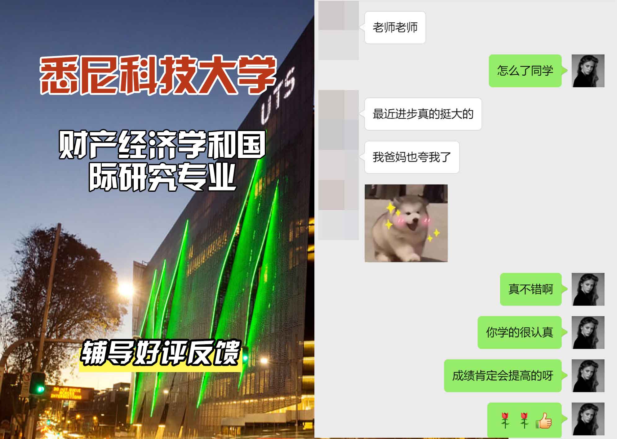悉尼科技大学UTS财产经济学和国际研究辅导好评反馈