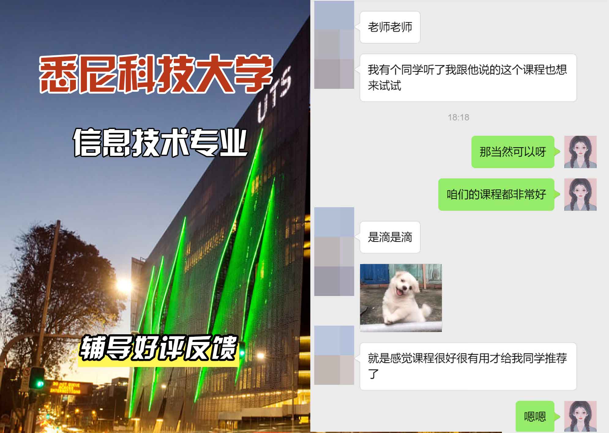 悉尼科技大学UTS信息技术辅导好评反馈